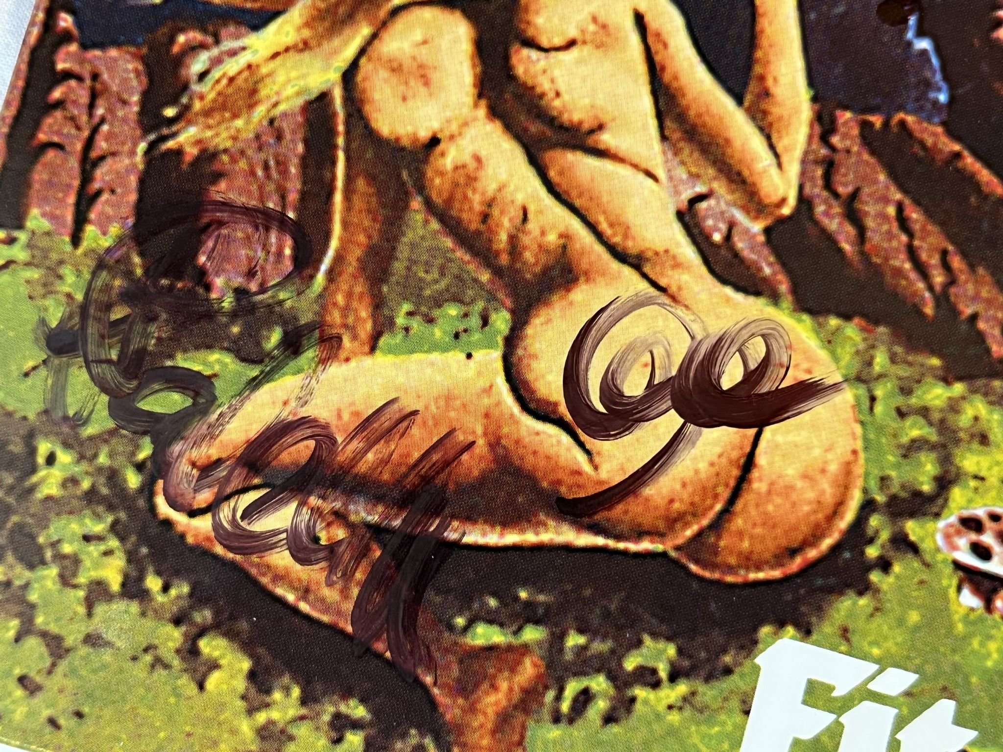 Omslagsbild för skivan WITCHCROSS fit for fight LP re 2012 US HELLS LP 091 ** FULLY SIGNED **