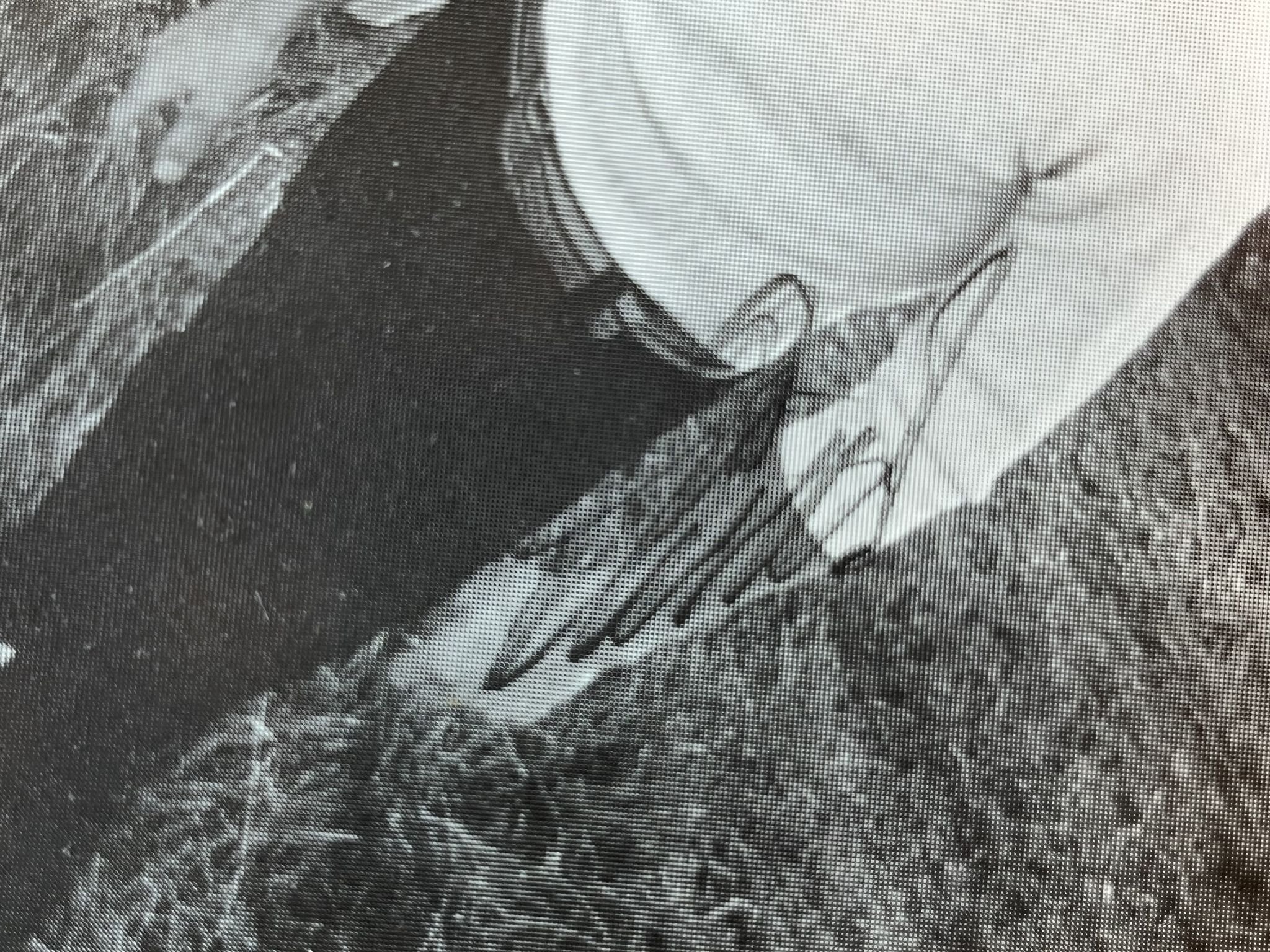 Omslagsbild för skivan LEA RIDER GROUP s/t LP -89 Swe GARAGELAND BF 624 ** FULLY SIGNED **