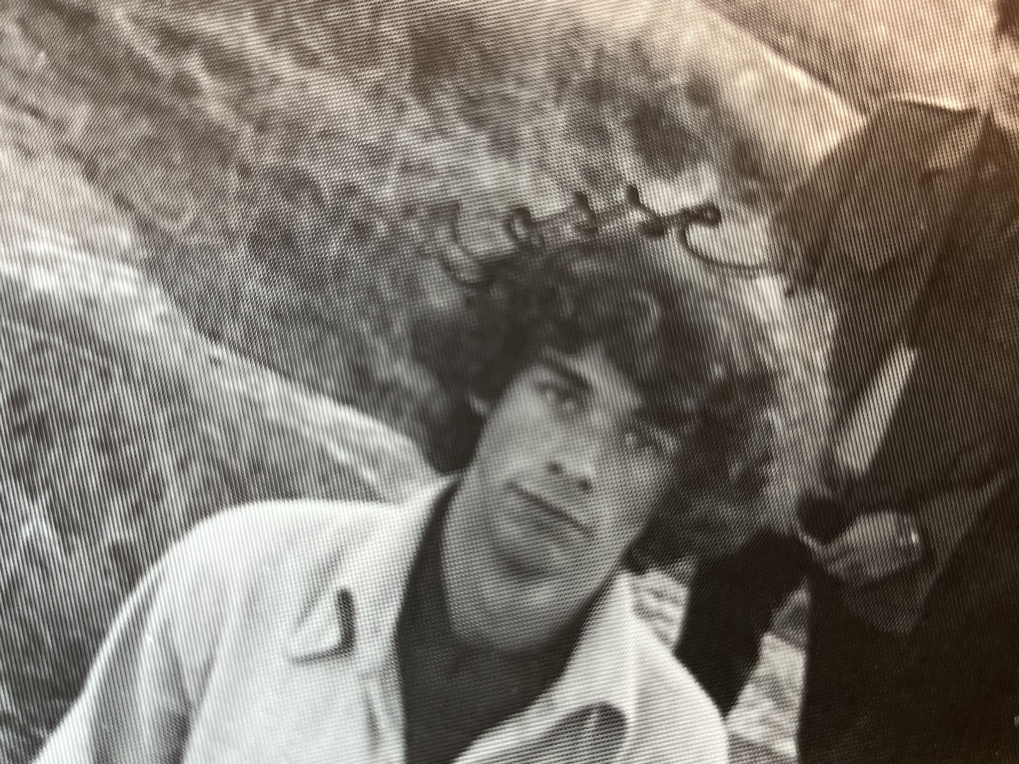 Omslagsbild för skivan LEA RIDER GROUP s/t LP -89 Swe GARAGELAND BF 624 ** FULLY SIGNED **