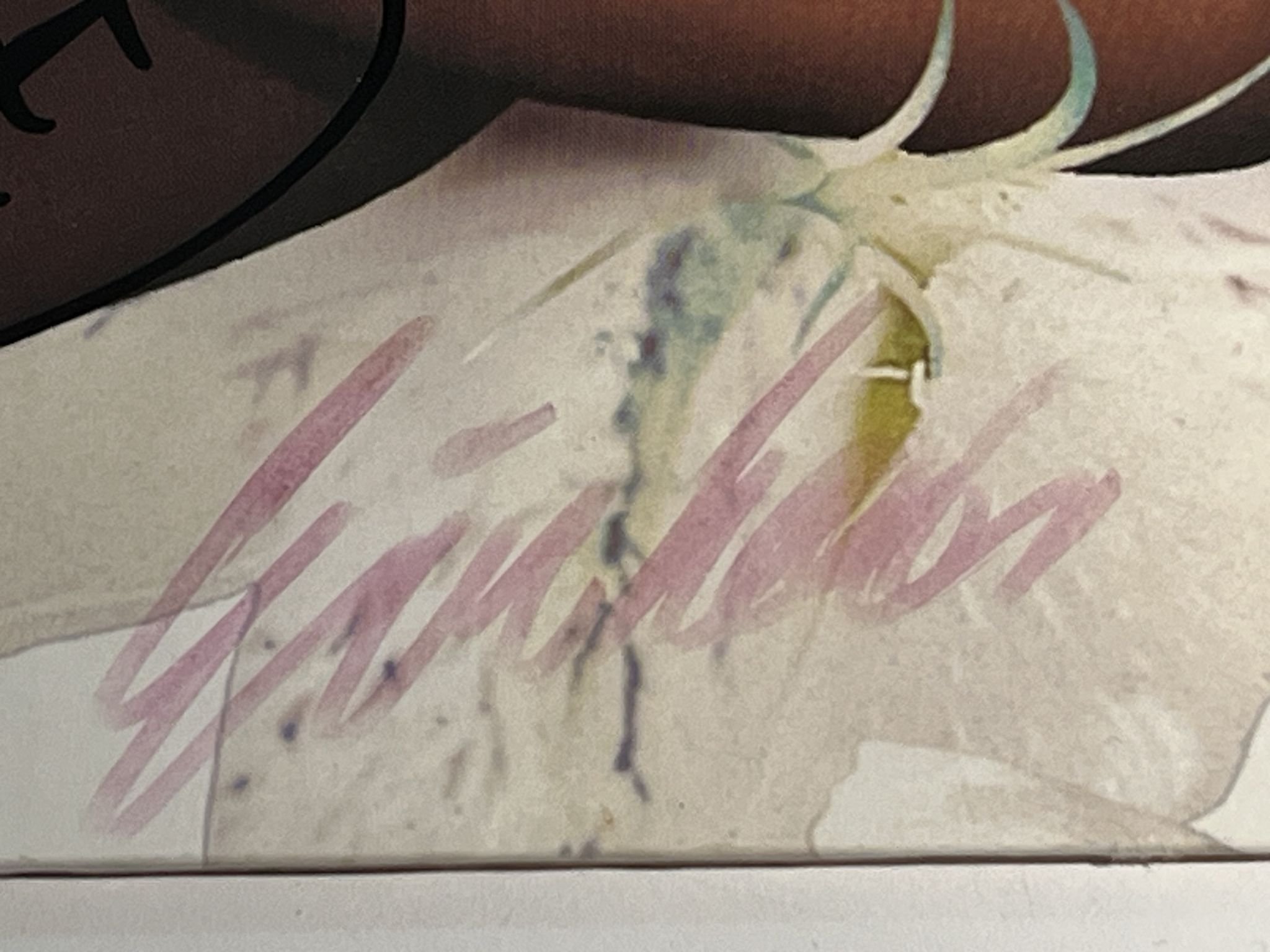 Omslagsbild för skivan PRINCE lovesexy LP -88 PAISLEY PARK 925 720-1 ***** Signed by Prince *****