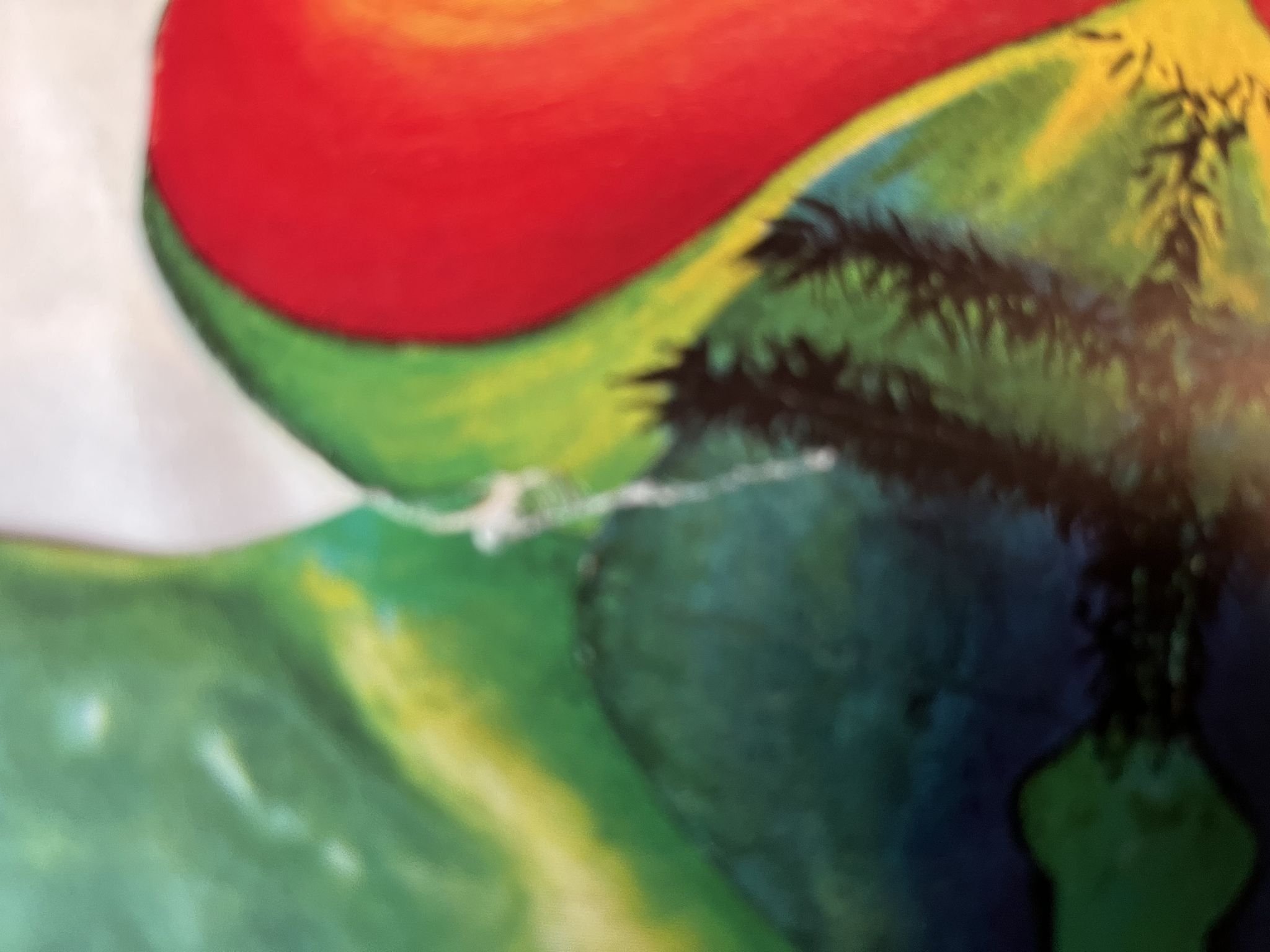 Omslagsbild för skivan CATAPILLA changes LP -72 UK VERTIGO 6360 074 *** SUPER RARE PROG ***