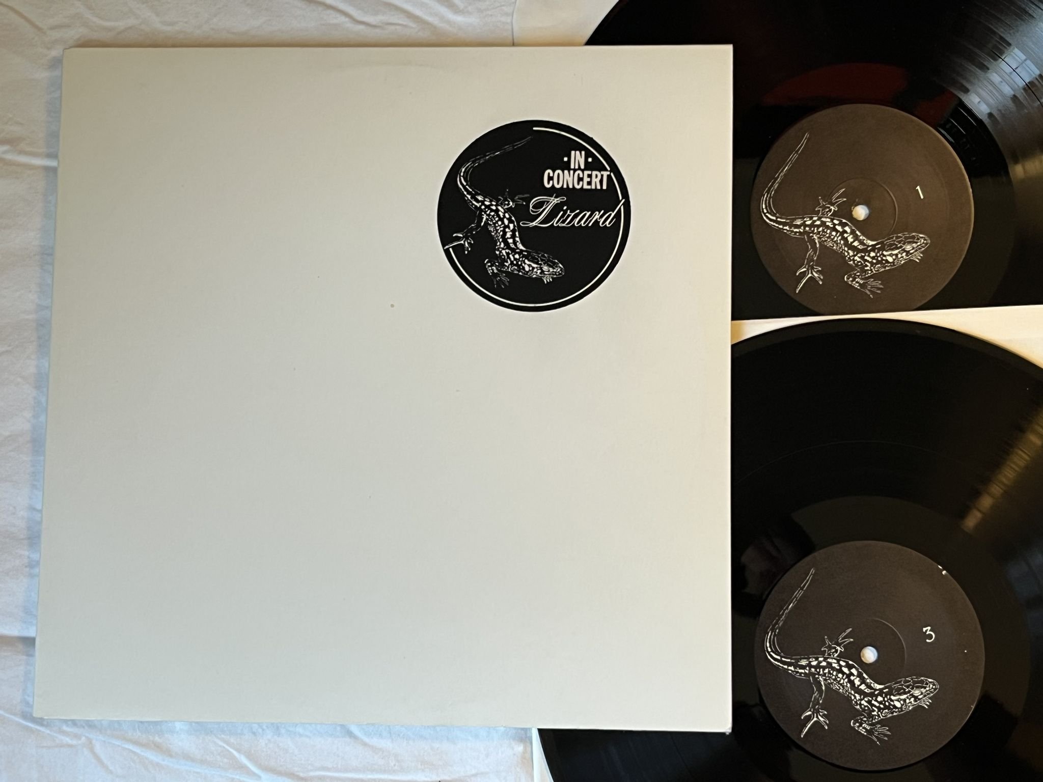 Omslagsbild för skivan LIZARD in concert 2xLP Switzerland private pressed PROG ROCK