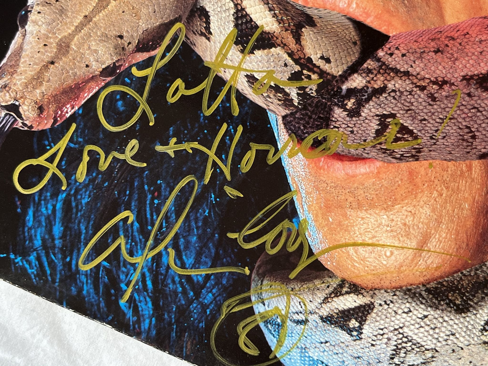 Omslagsbild för skivan ALICE COOPER constrictor LP -88 MCA 254253-1 *** SIGNED ***