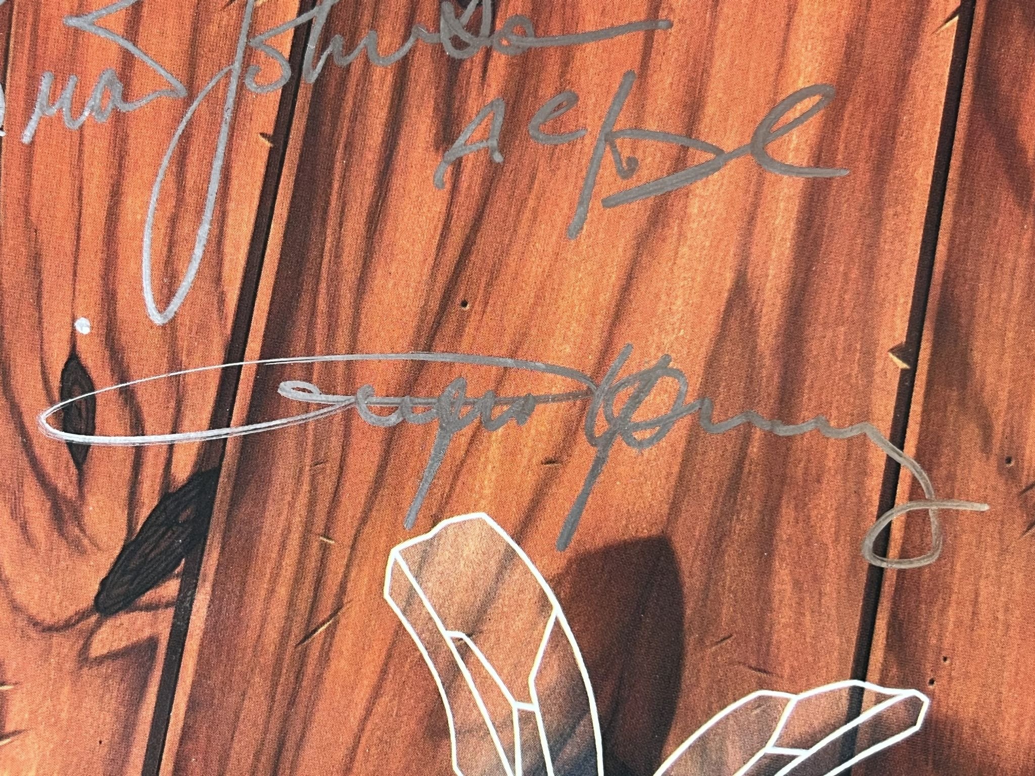 Omslagsbild för skivan AC/DC fly on the wall LP -85 ATLANTIC 781 263-1 *** FULLY SIGNED !! WOW !! ***