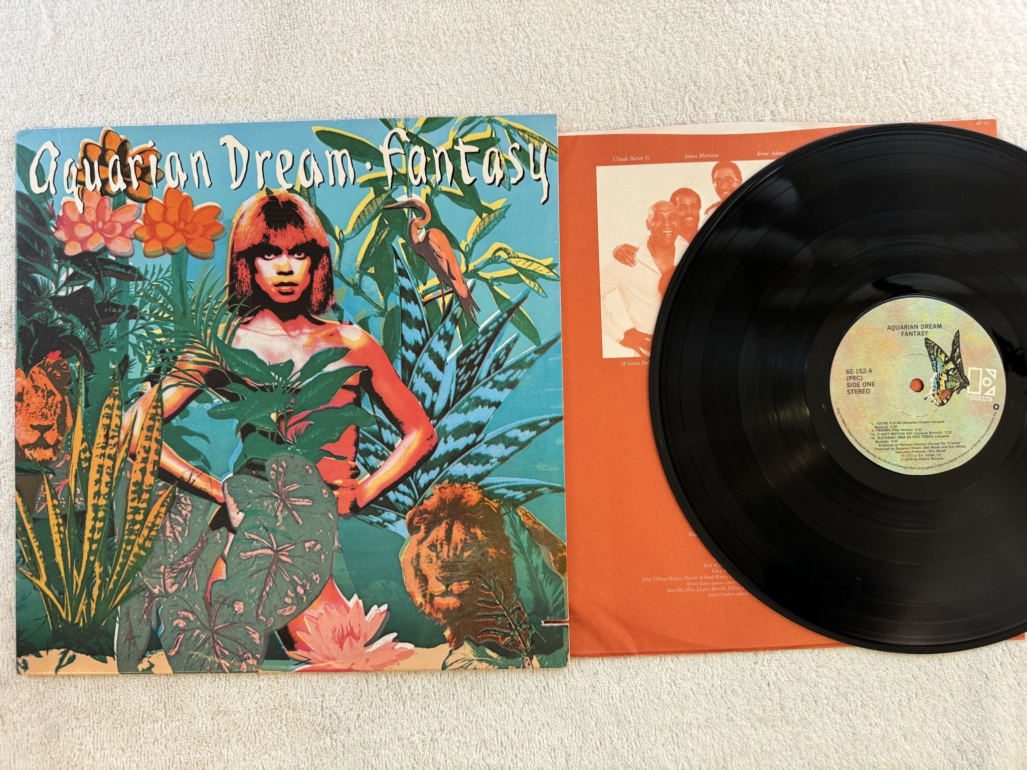 Omslagsbild för skivan AQUARIAN DREAM fantasy LP -78 US ELEKTRA 6E 152