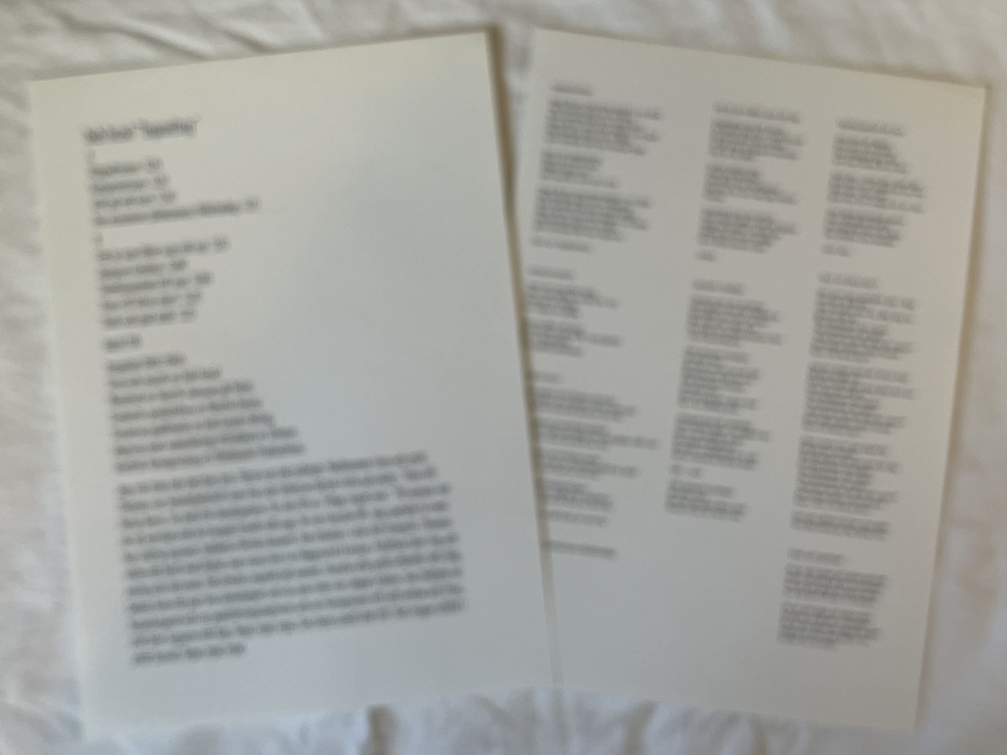 Omslagsbild för skivan BOB HUND ingenting LP 2002 DILETTANTE PRODUCTIONS tacit 110 *** RARE ***