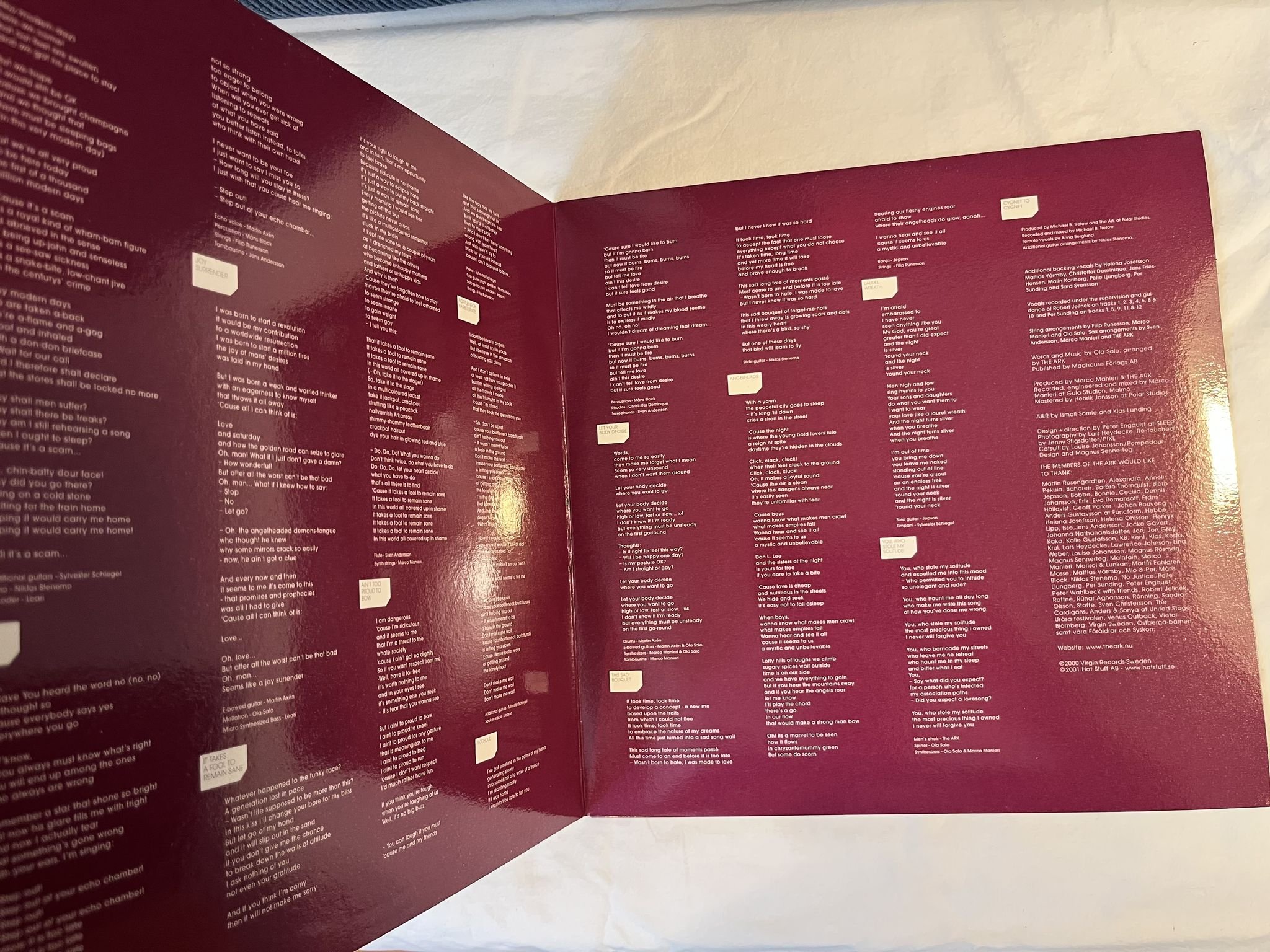 Omslagsbild för skivan THE ARK We Are The Ark LP 2001 Swe VIRGIN COOL 15 *** mega rare ***