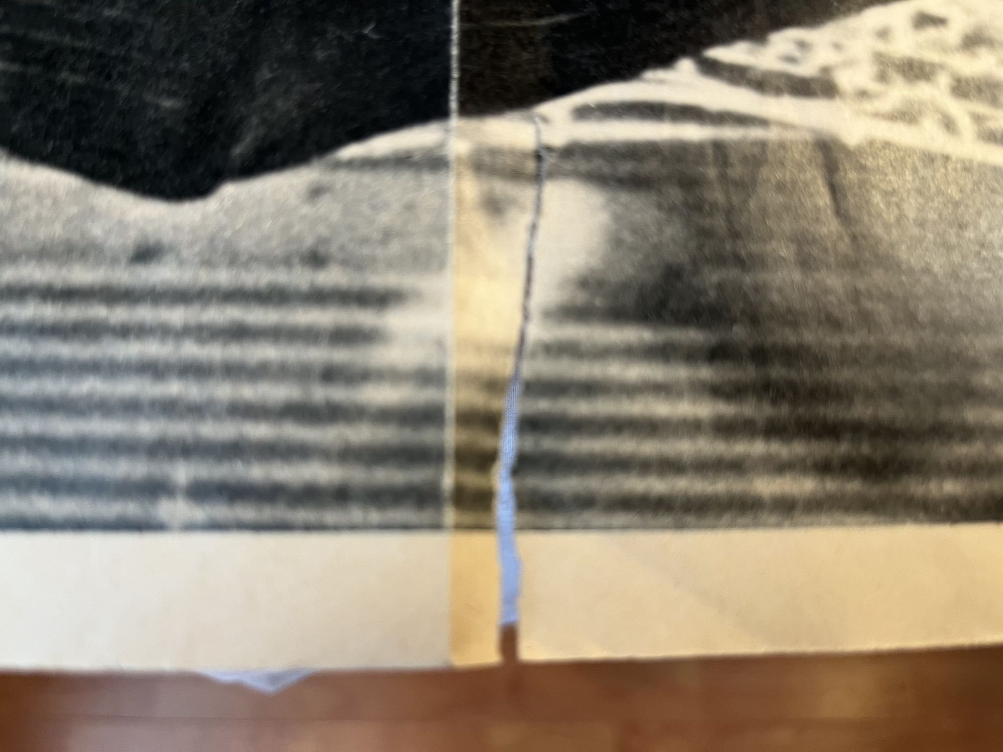 Omslagsbild för skivan THE BEATLES Året Runt poster 1968