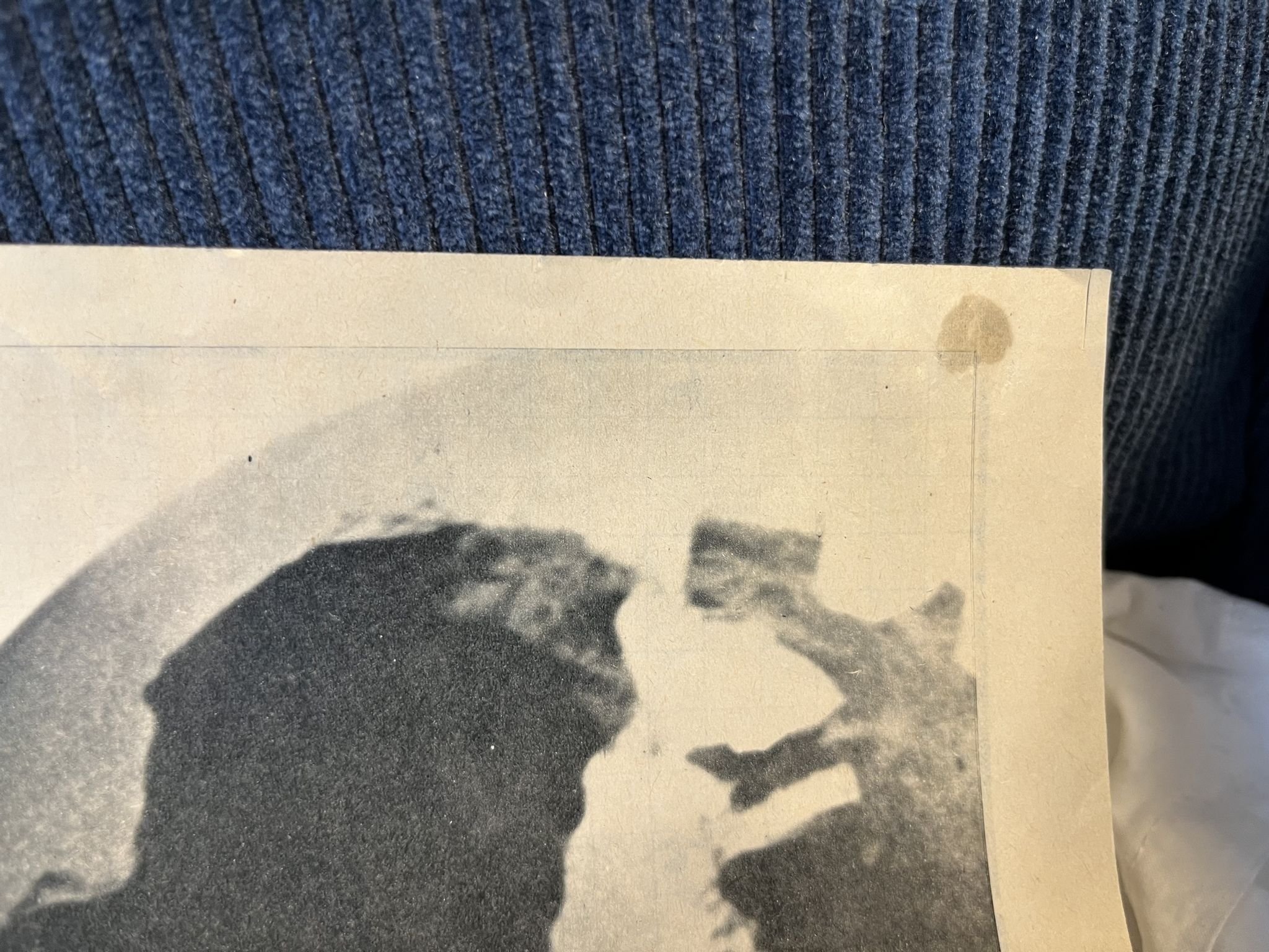 Omslagsbild för skivan THE BEATLES Året Runt poster 1968