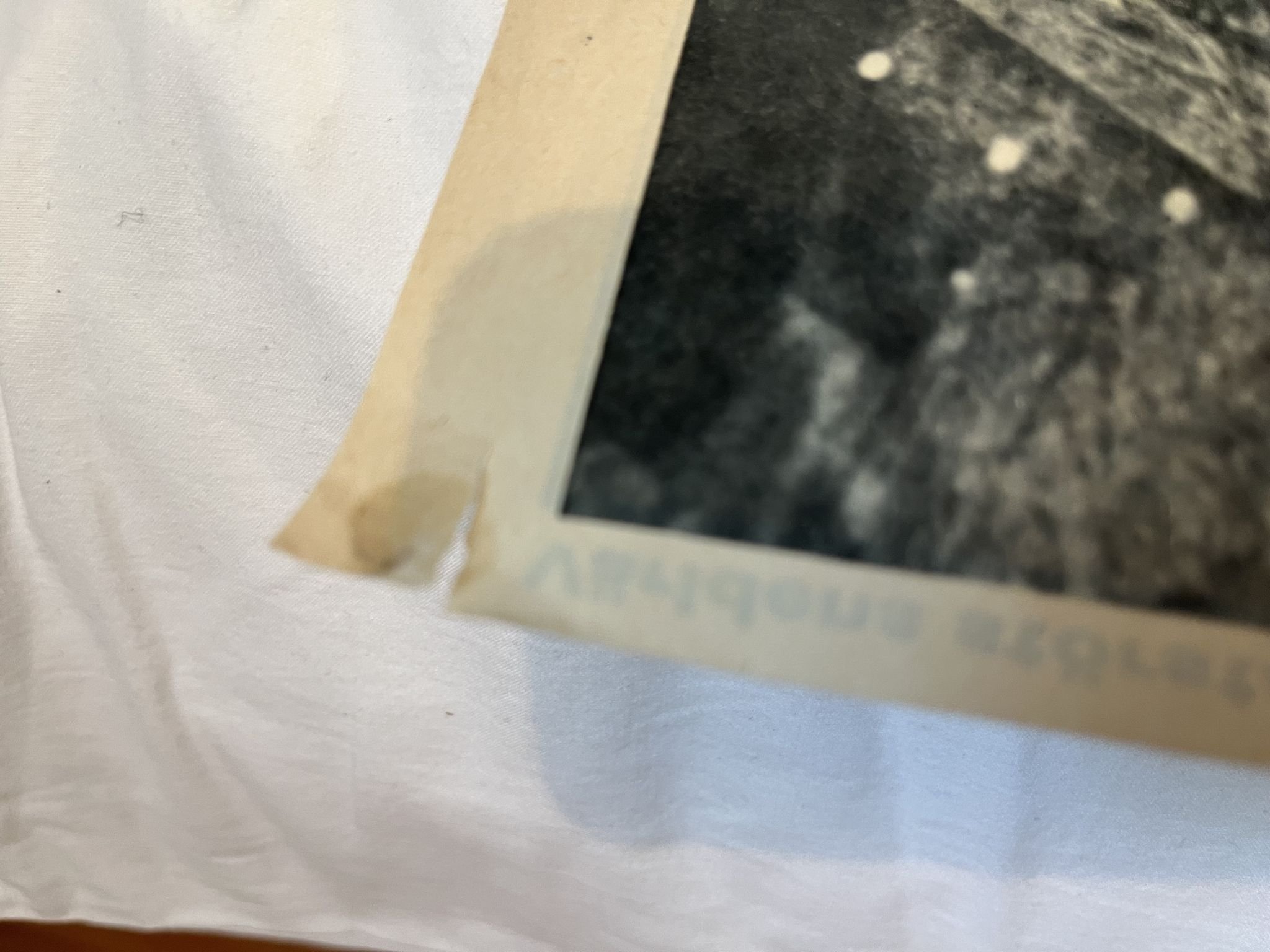 Omslagsbild för skivan THE BEATLES Året Runt poster 1968