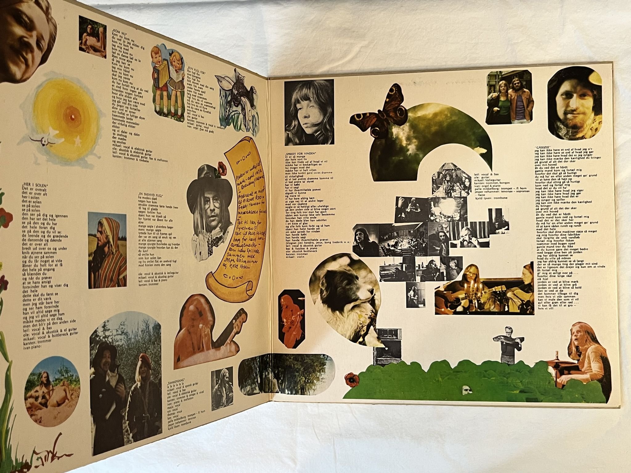 Omslagsbild för skivan ALRUNE ROD spredt for vinden LP -73 Denmark MANDRAGORA MGLP 1 ** PROG **