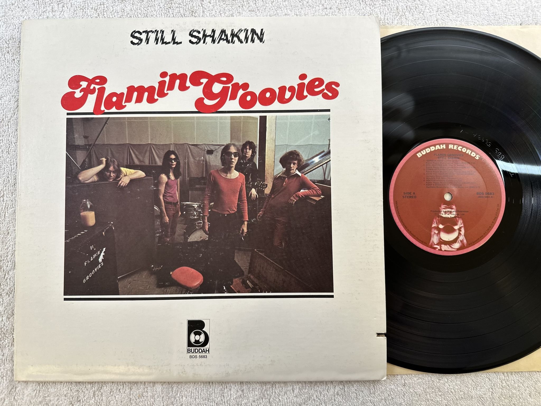 Omslagsbild för skivan FLAMIN GROOVIES still shakin LP -76 US BUDDAH BDS 5683