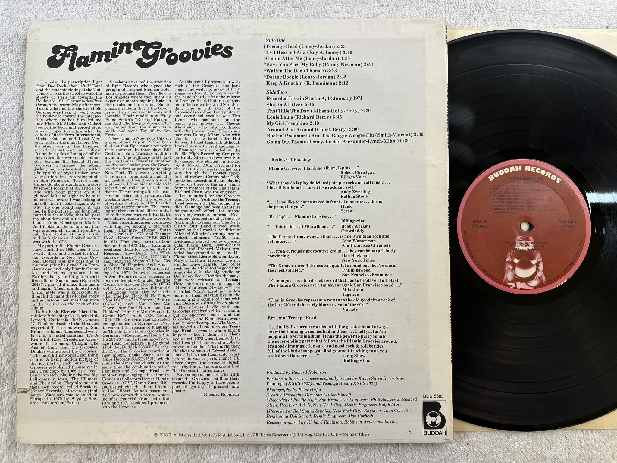 Omslagsbild för skivan FLAMIN GROOVIES still shakin LP -76 US BUDDAH BDS 5683