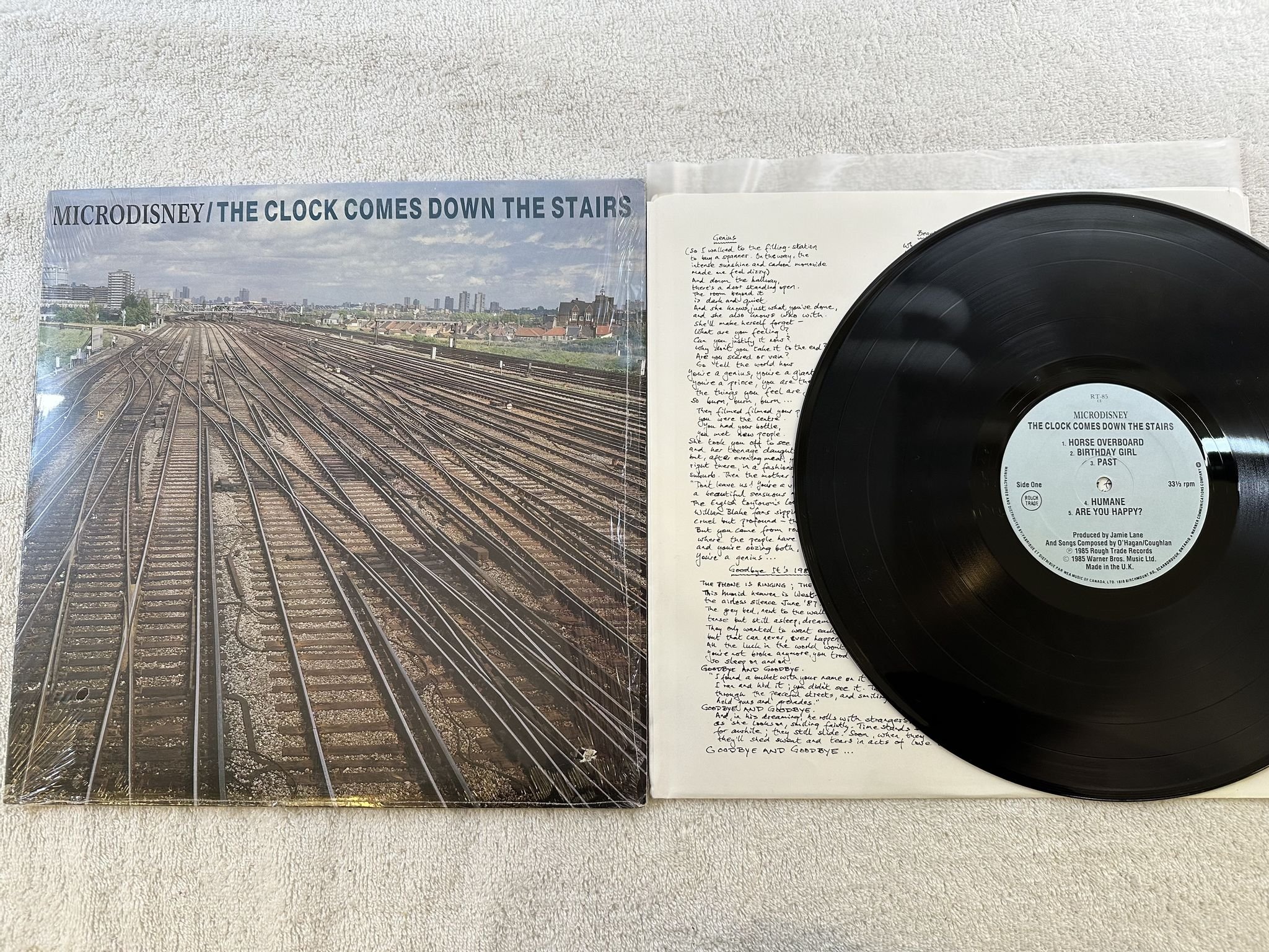 Omslagsbild för skivan MICRODISNEY Everybody Is Fantastic LP -84 Can ROUGH TRADE Rough 75