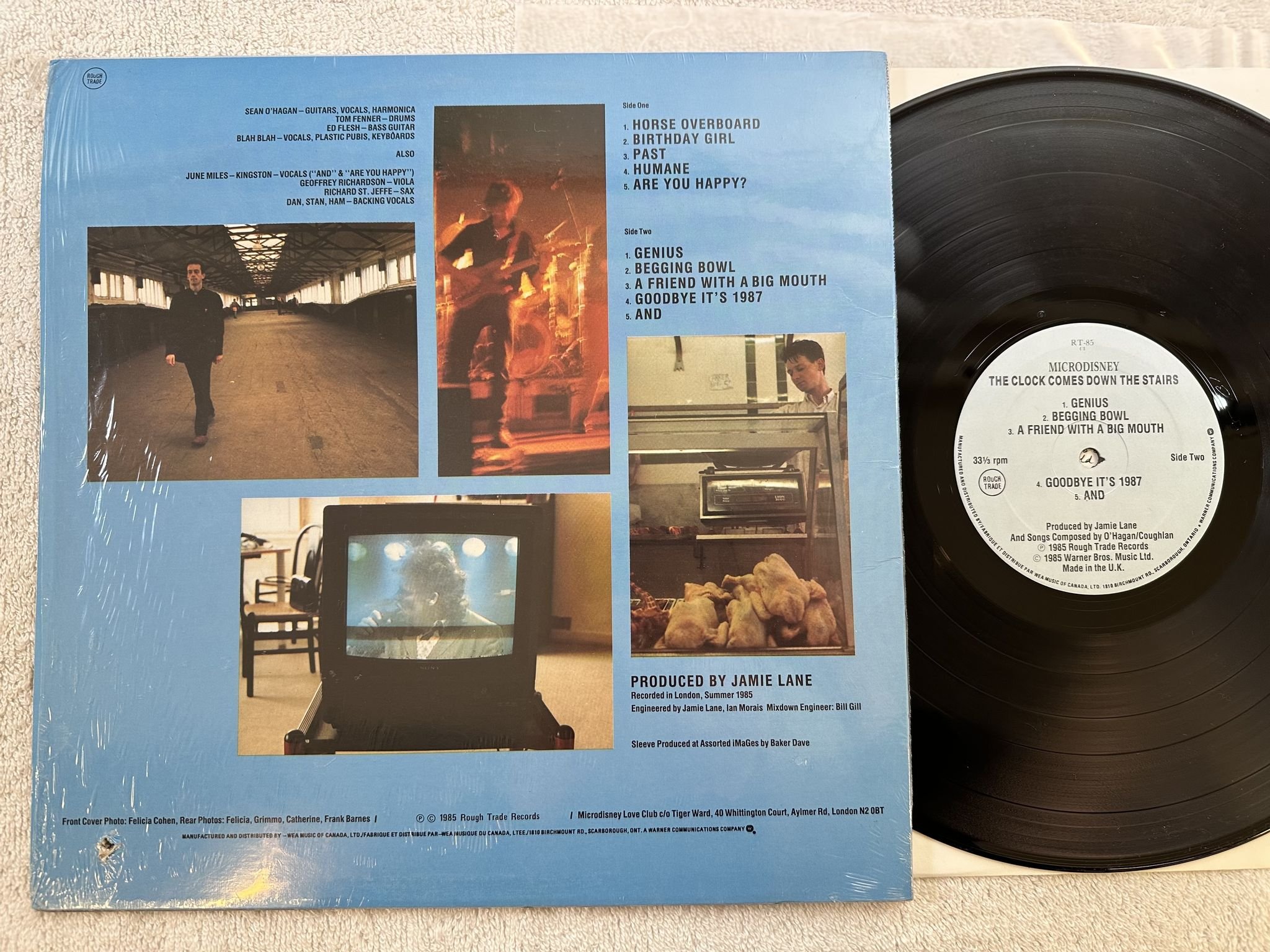 Omslagsbild för skivan MICRODISNEY Everybody Is Fantastic LP -84 Can ROUGH TRADE Rough 75