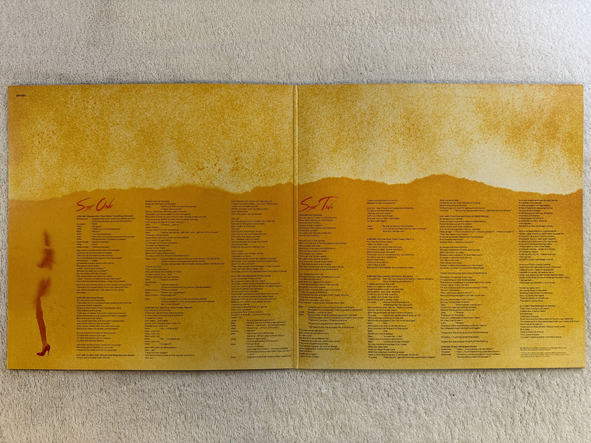 Omslagsbild för skivan ROGER WATERS the pros and cons... LP -84 1C 064 2401051 Harvest