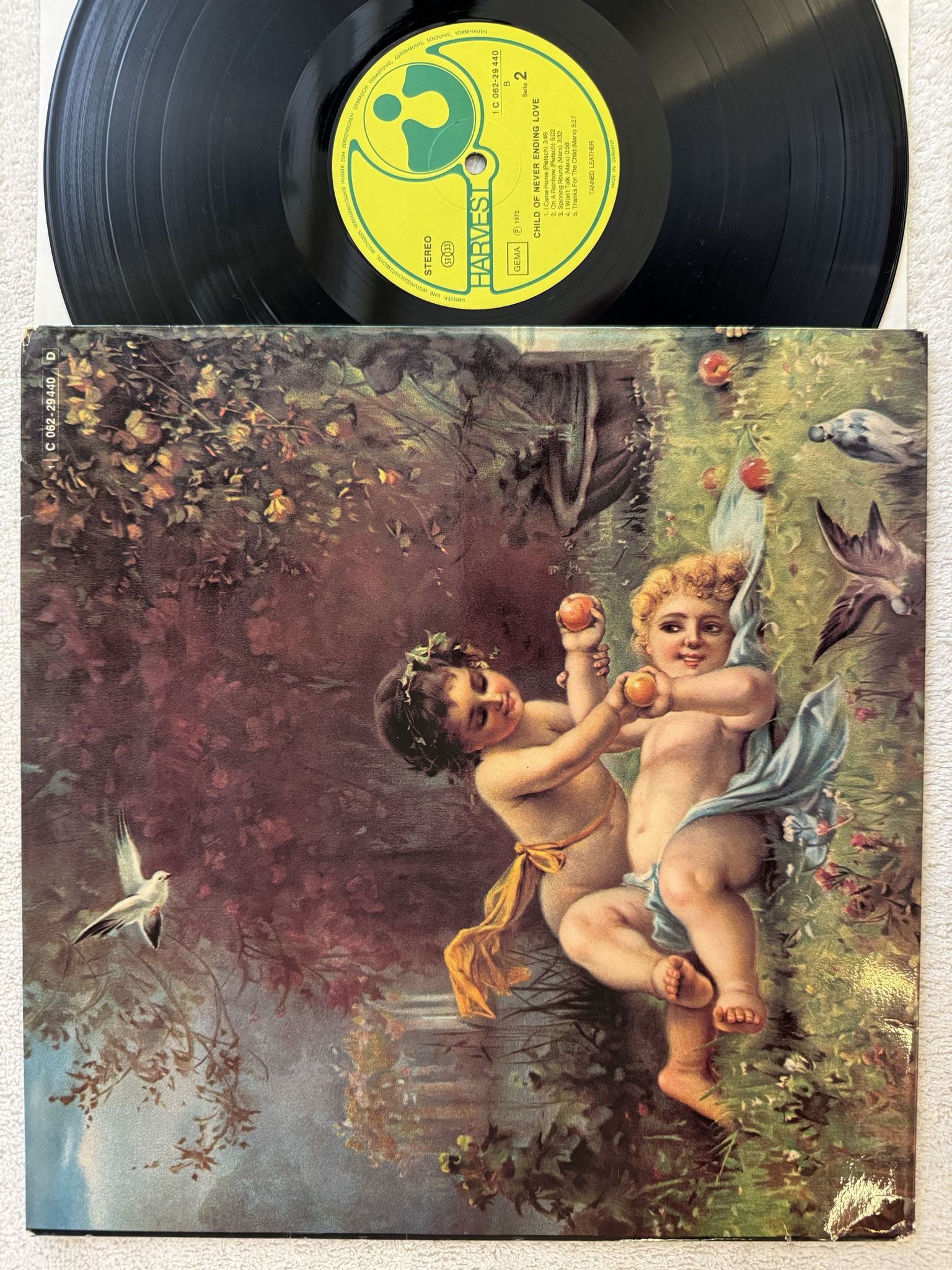Omslagsbild för skivan TANNED LEATHER child of never ending love LP -72 1 C 062-29 440 Harvest