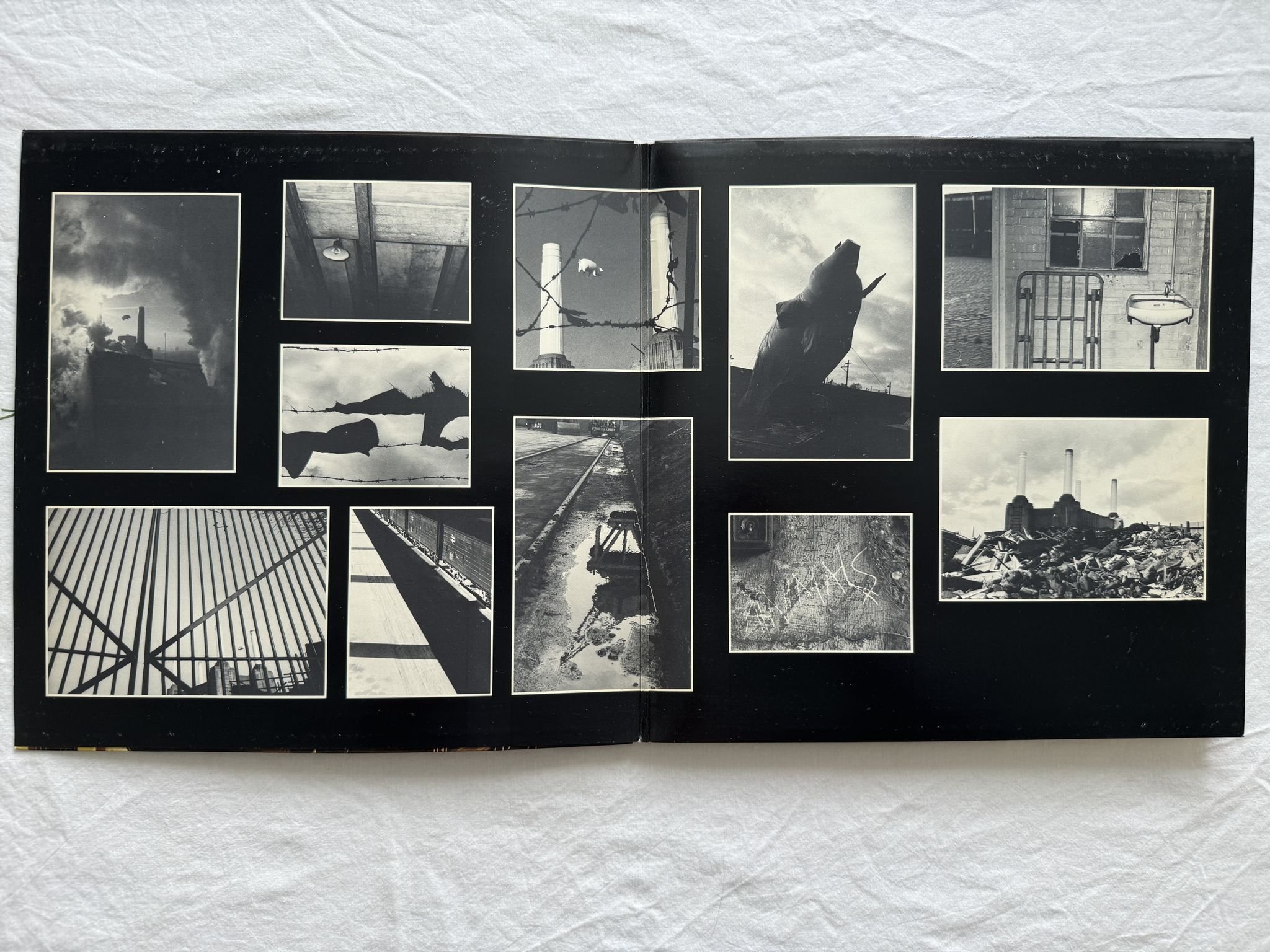 Omslagsbild för skivan PINK FLOYD animals LP -77 7C 064-98434 Harvest