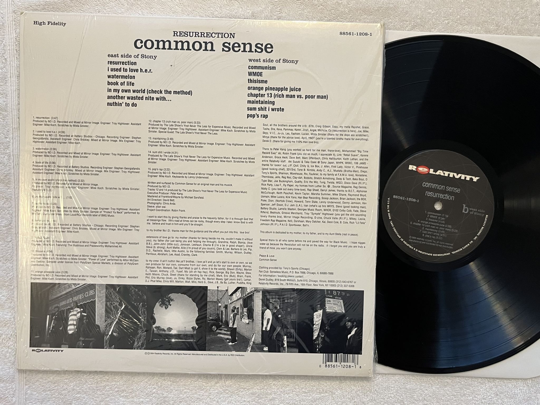 Omslagsbild för skivan COMMON SENSE resurrection LP -94 US RELATIVITY 88561-1208-1