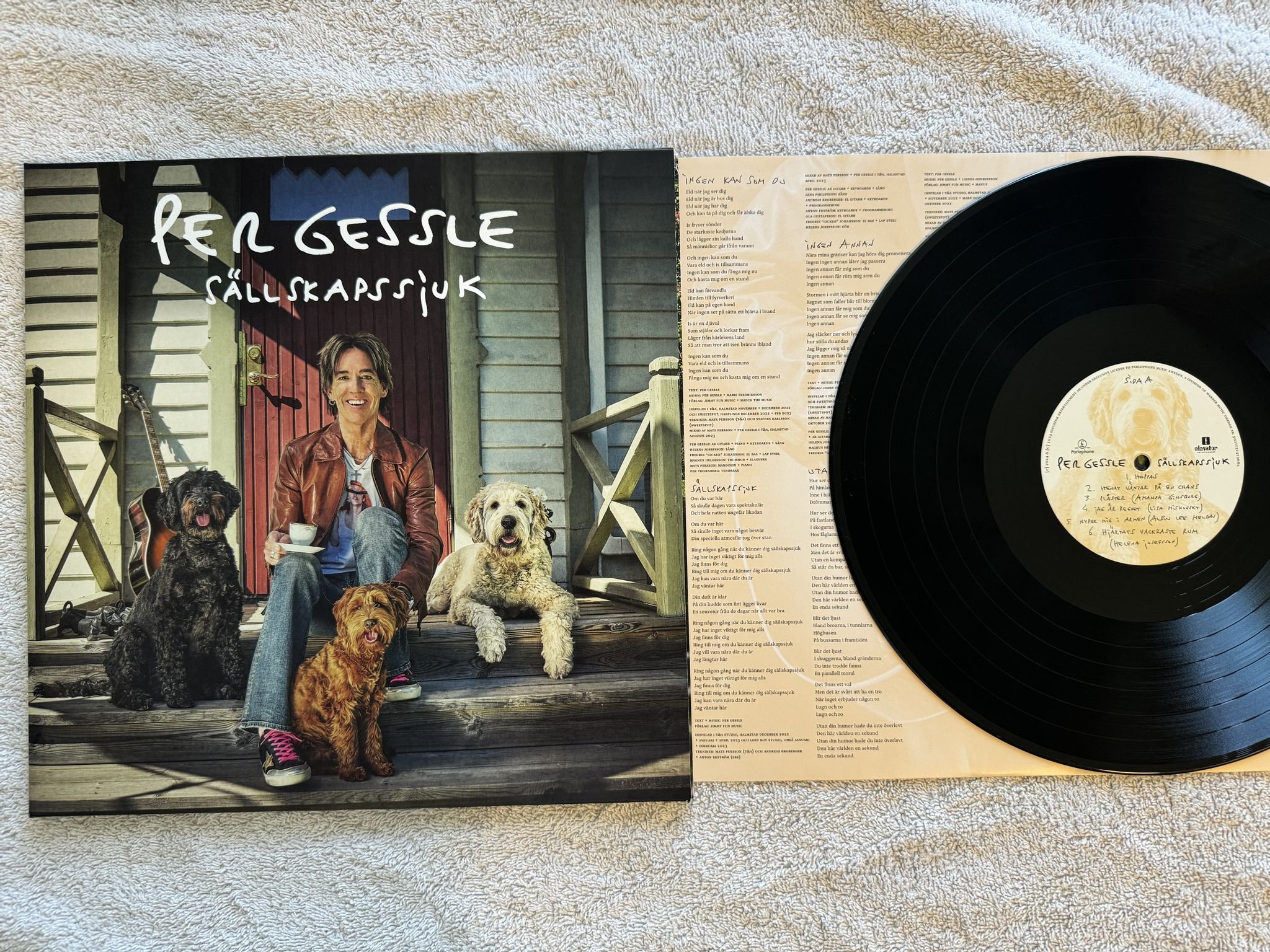 Omslagsbild för skivan PER GESSLE Sällskapssjuk LP 2024 PARLOPHONE 5021732422682