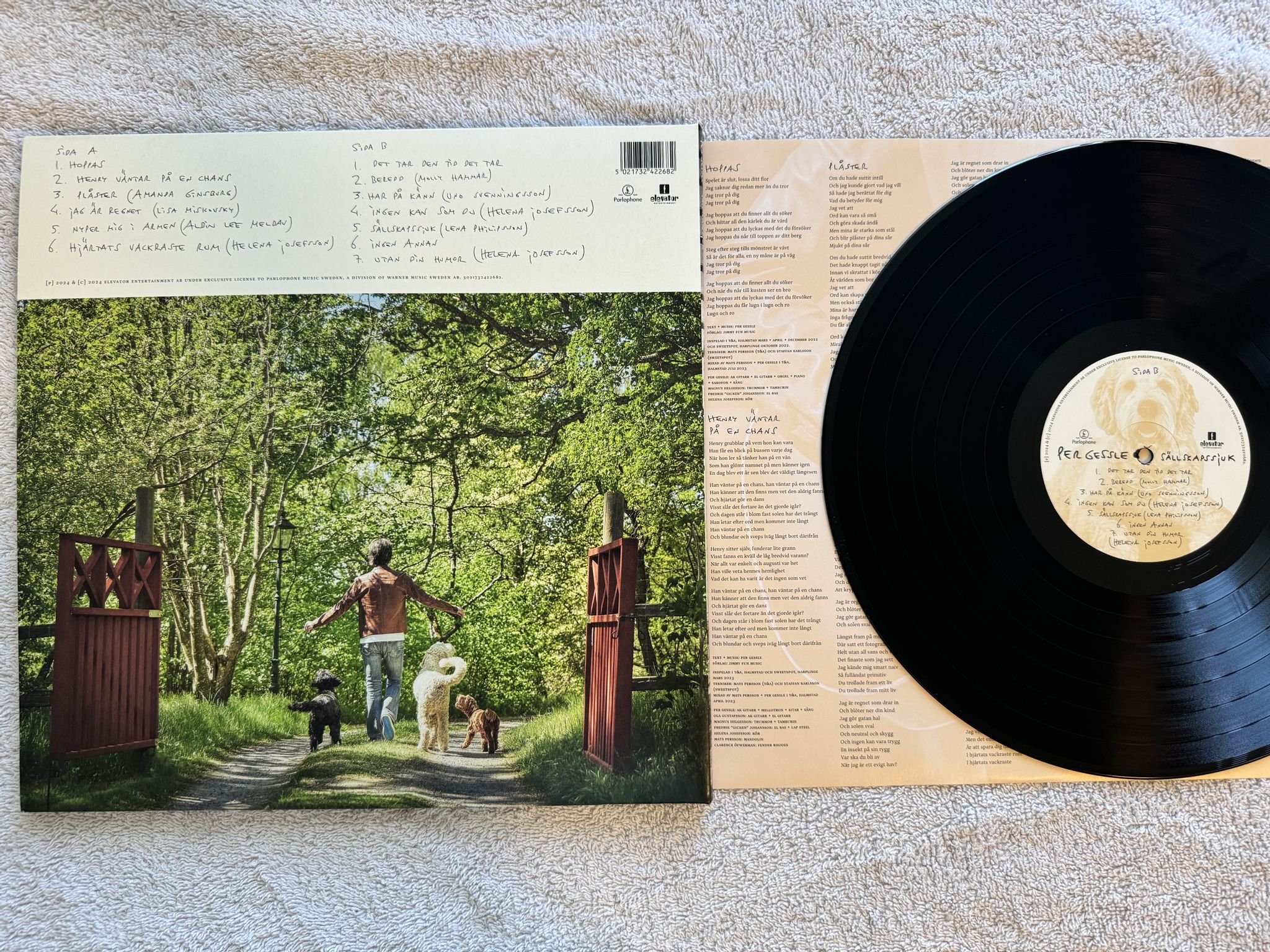 Omslagsbild för skivan PER GESSLE Sällskapssjuk LP 2024 PARLOPHONE 5021732422682