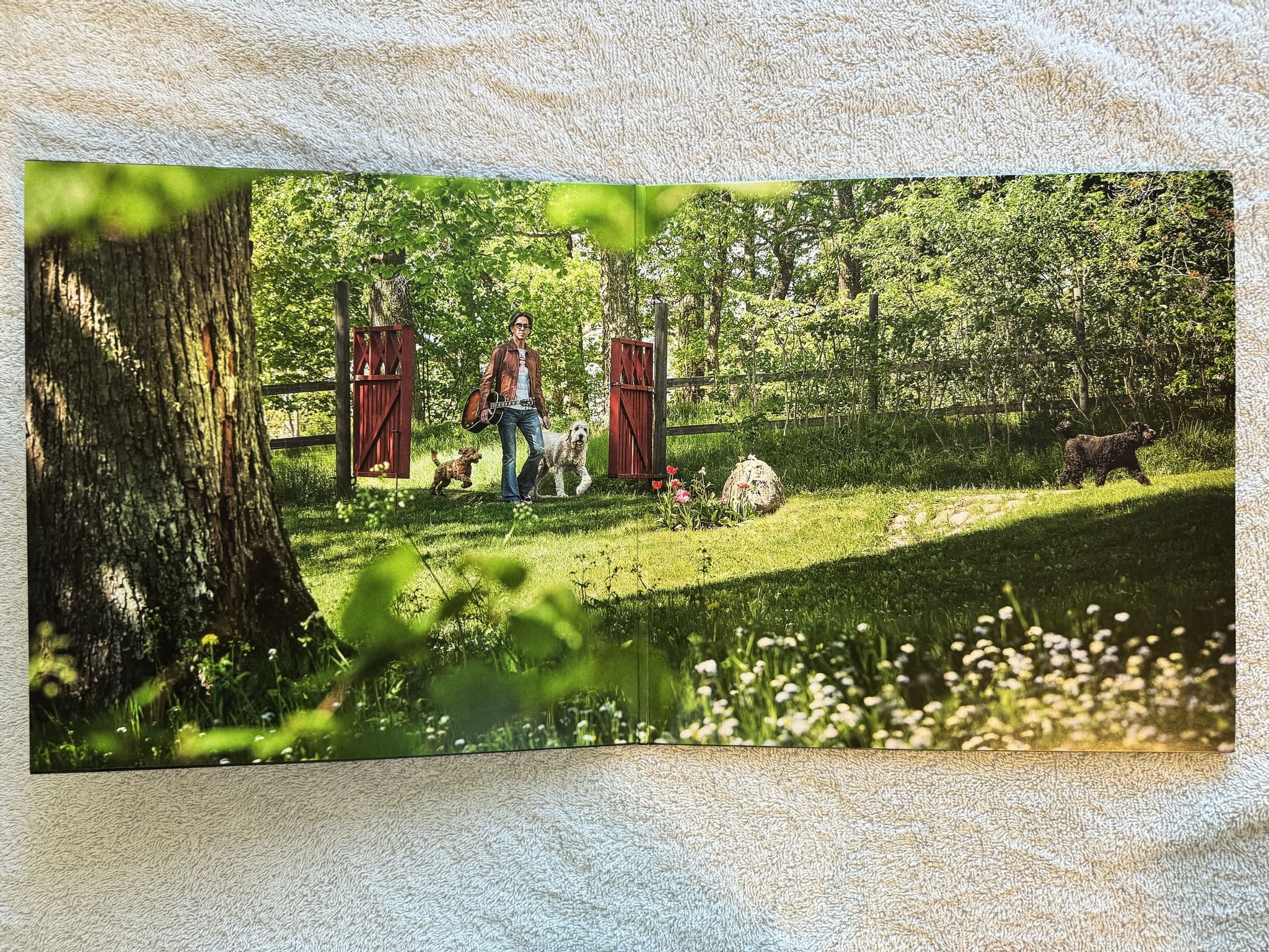 Omslagsbild för skivan PER GESSLE Sällskapssjuk LP 2024 PARLOPHONE 5021732422682