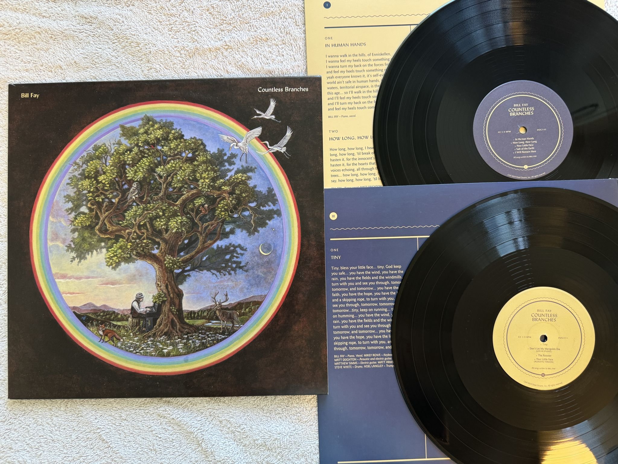 Omslagsbild för skivan BILL FAY Countless Branches 2xLP 2020 DEAD OCEANS DOC141