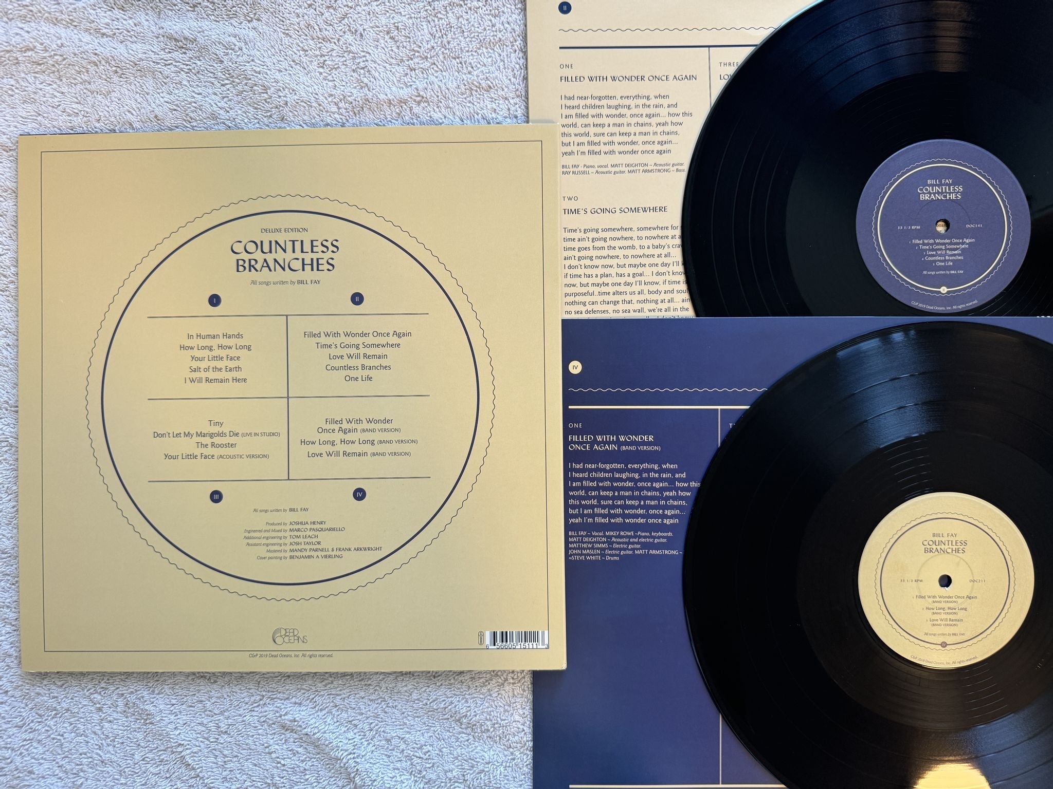 Omslagsbild för skivan BILL FAY Countless Branches 2xLP 2020 DEAD OCEANS DOC141