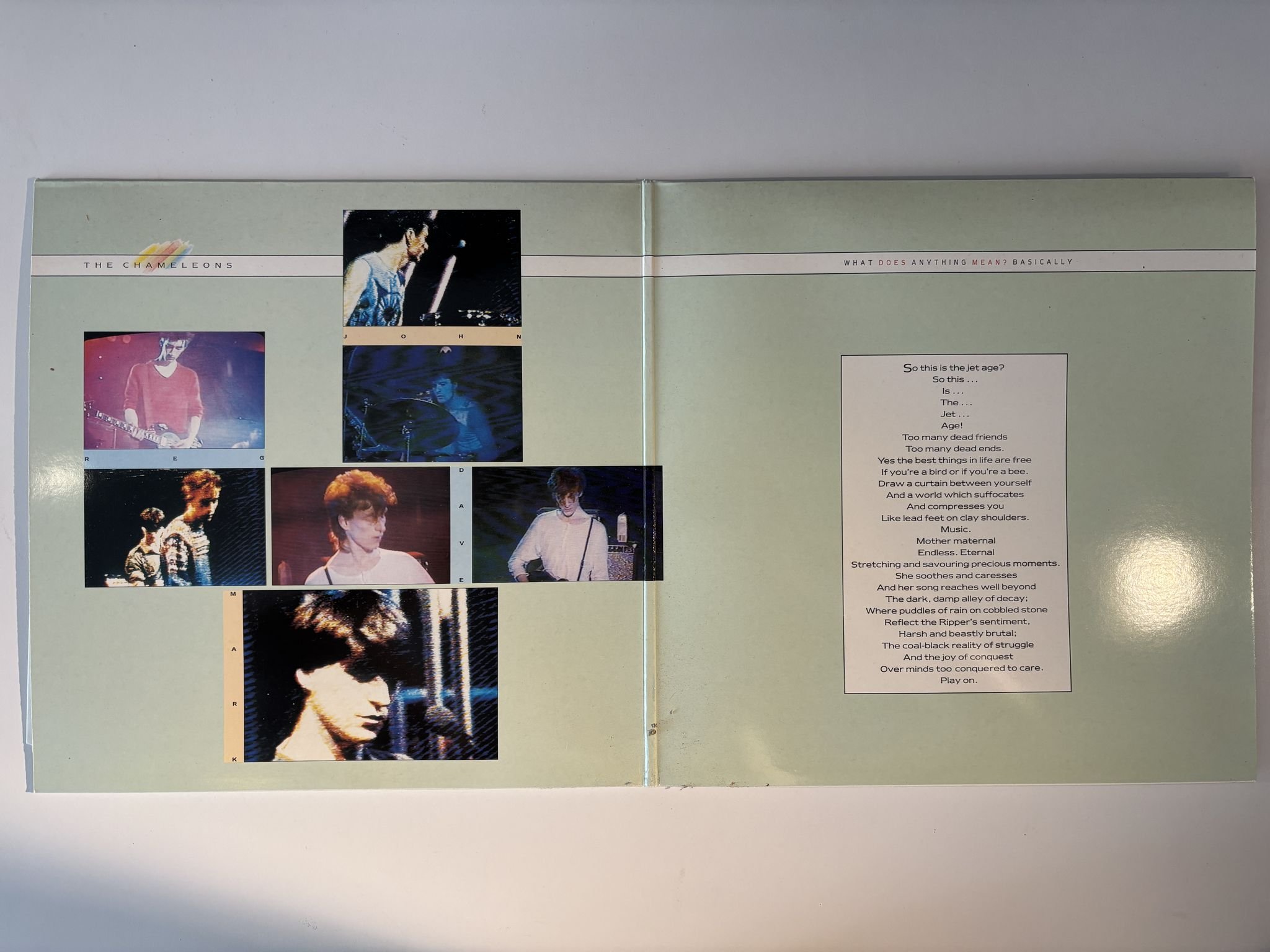 Omslagsbild för skivan THE CHAMELEONS What Does Anything Mean? Basically LP -85 ncb STATIK STAT LP 22