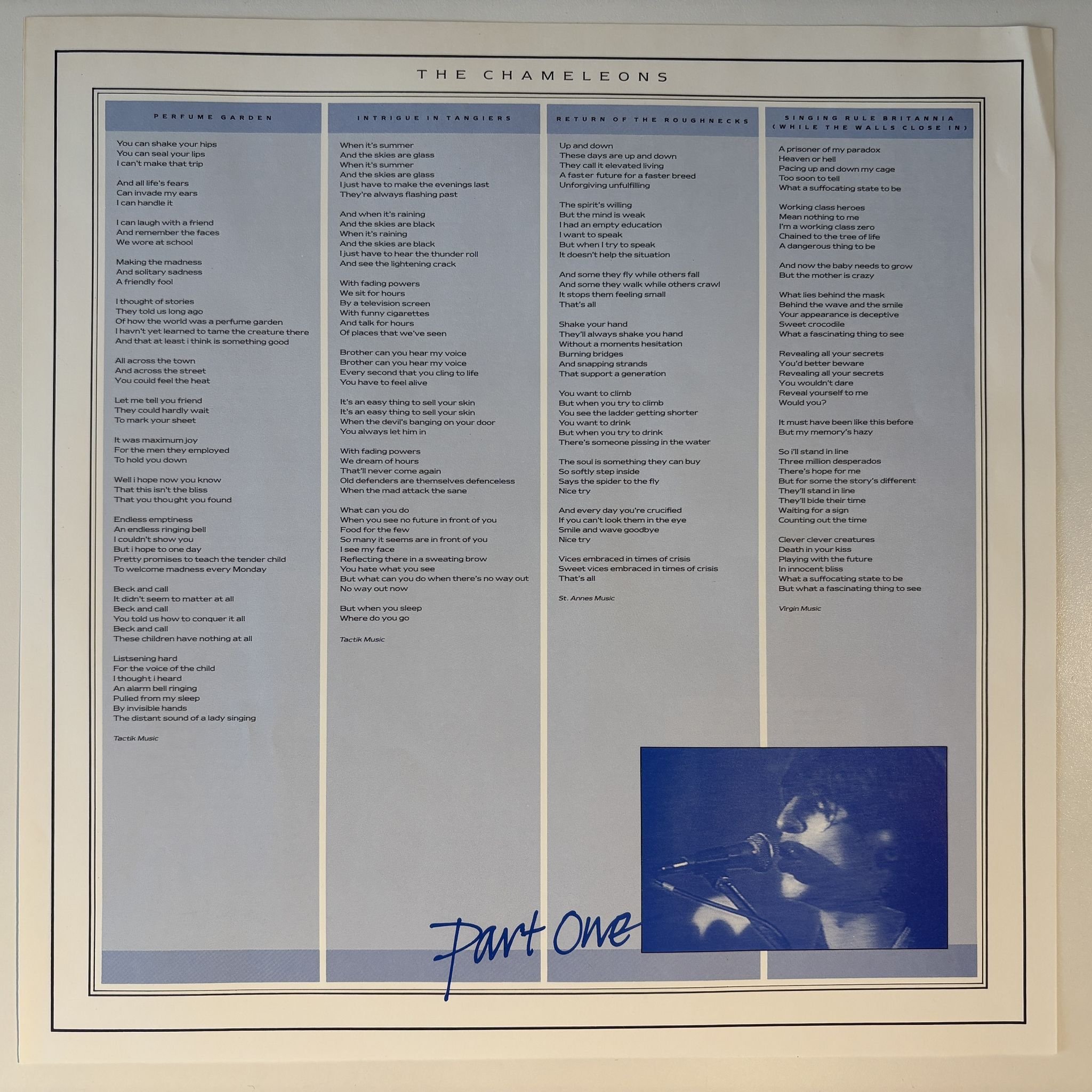 Omslagsbild för skivan THE CHAMELEONS What Does Anything Mean? Basically LP -85 ncb STATIK STAT LP 22