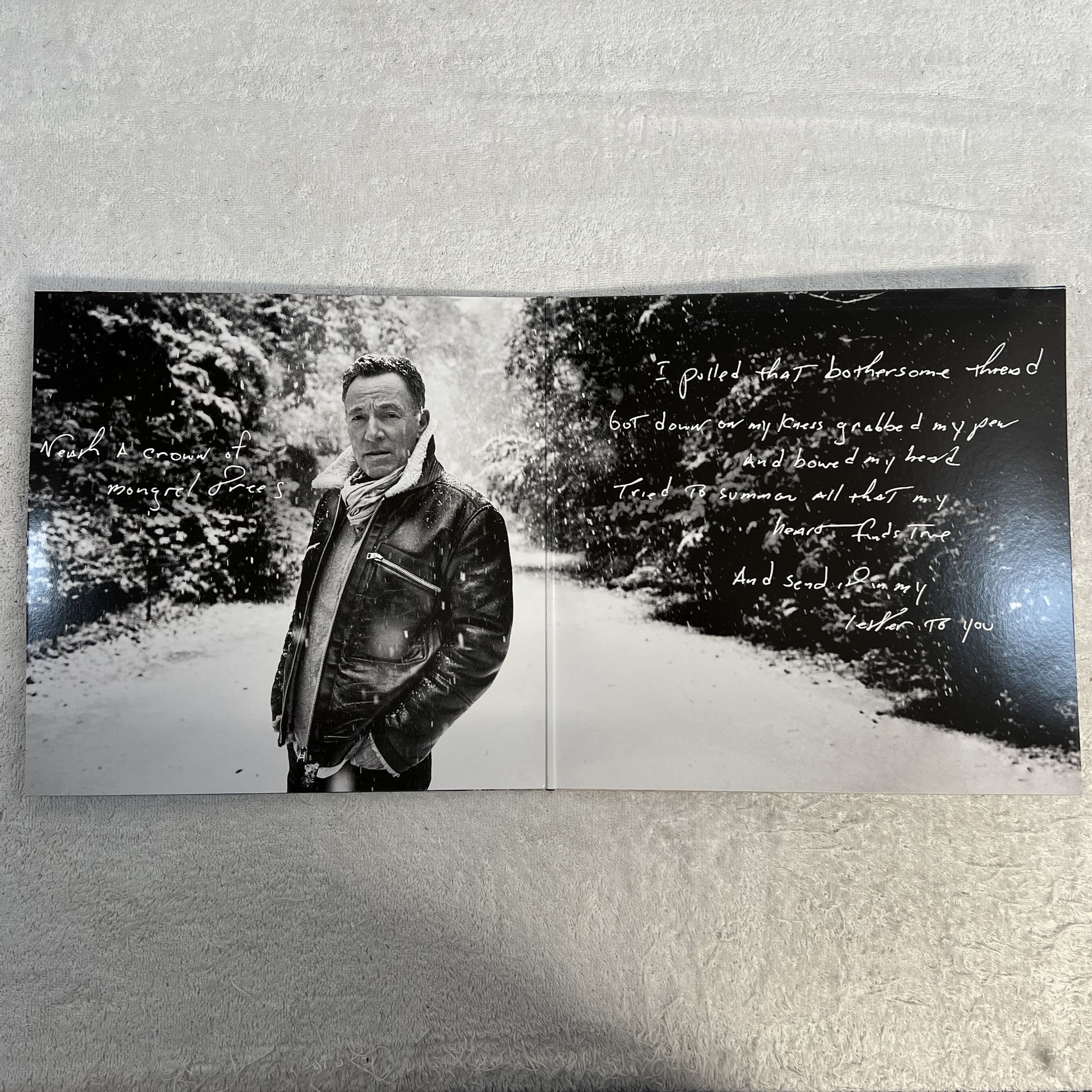 Omslagsbild för skivan BRUCE SPRINGSTEEN Letter To You 2xLP 2020 COLUMBIA 194398116211