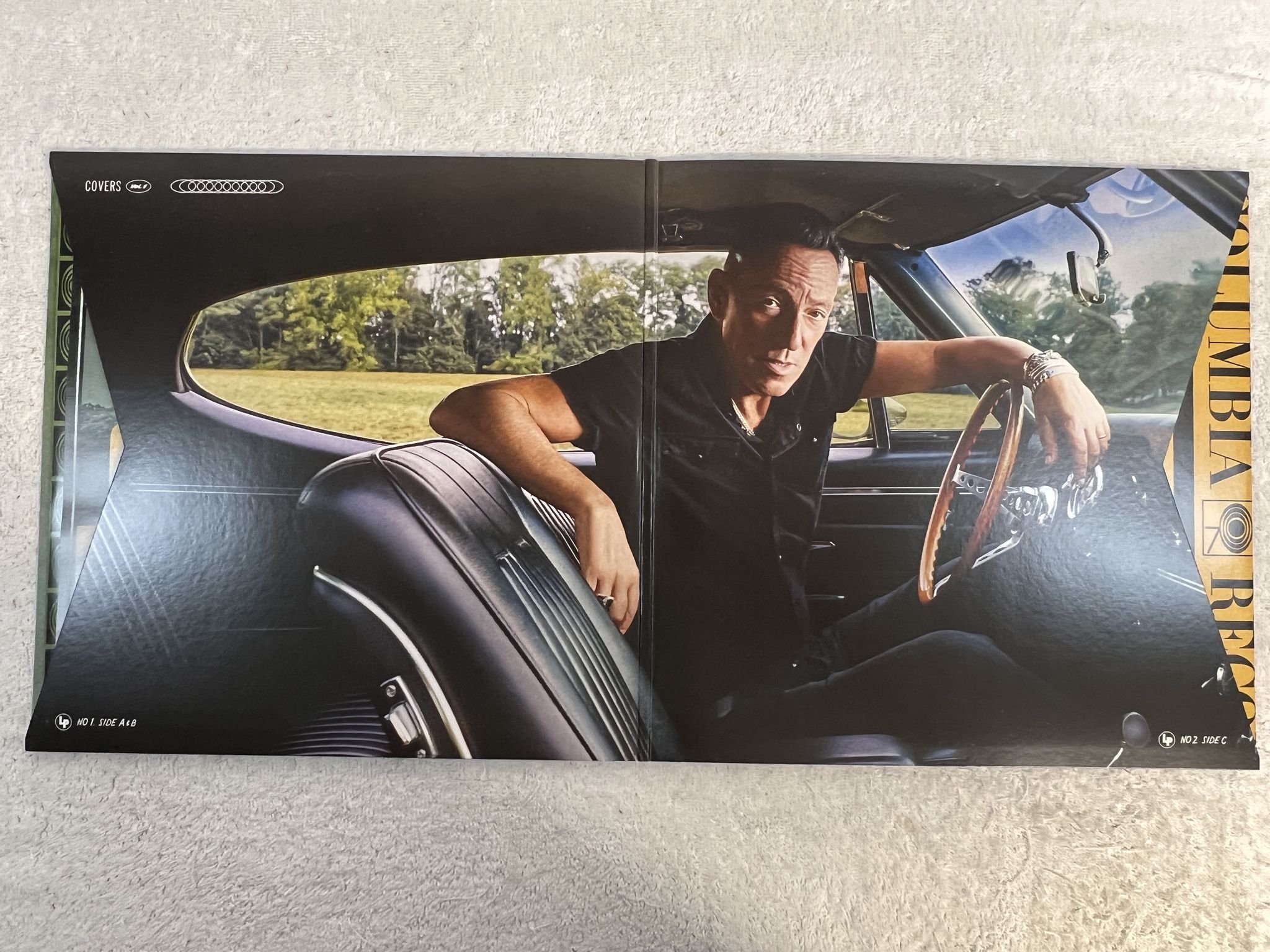 Omslagsbild för skivan BRUCE SPRINGSTEEN Only The Strong Survive 2xLP 2022 SONY MUSIC 19658753701