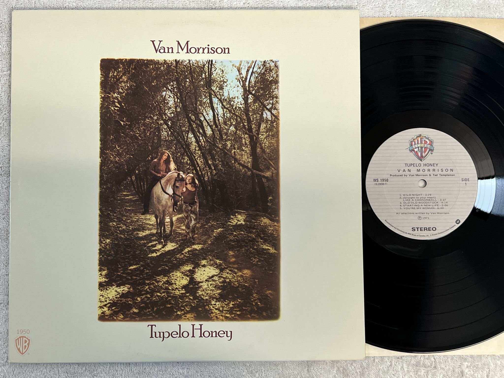Omslagsbild för skivan VAN MORRISON tupelo honey LP Can WARNER BROS WS 1950