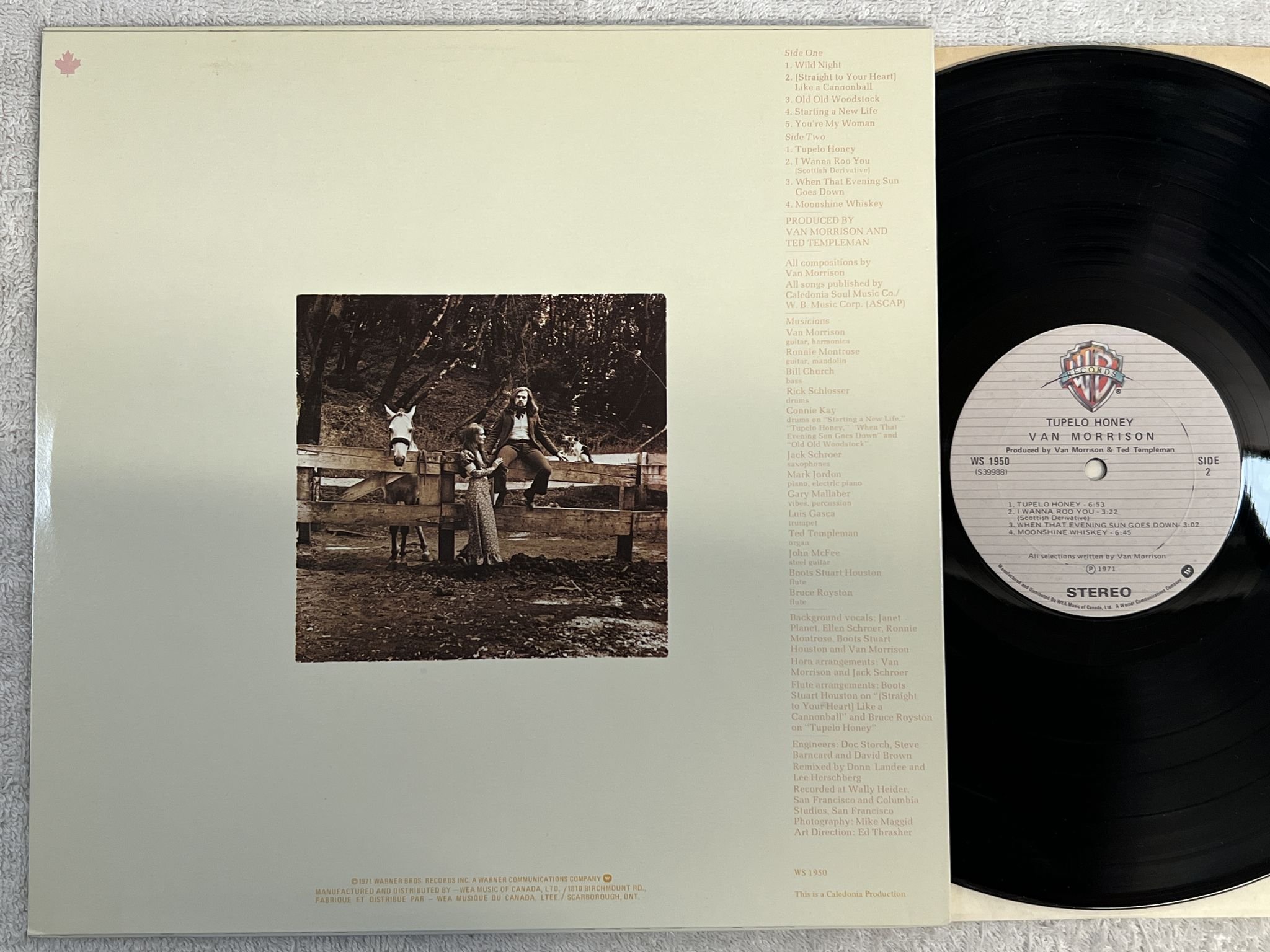 Omslagsbild för skivan VAN MORRISON tupelo honey LP Can WARNER BROS WS 1950