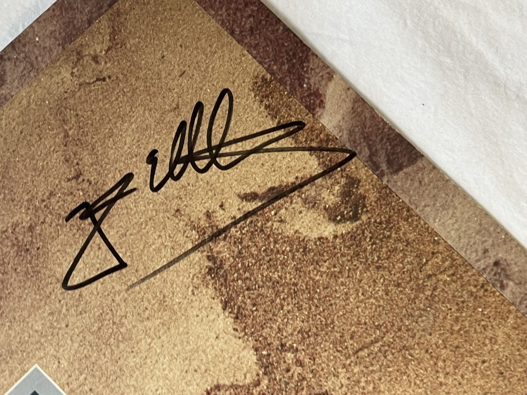 Omslagsbild för skivan RATATA paradis LP -84 Swe STRANDED EKO 128 *** SIGNED COVER ***