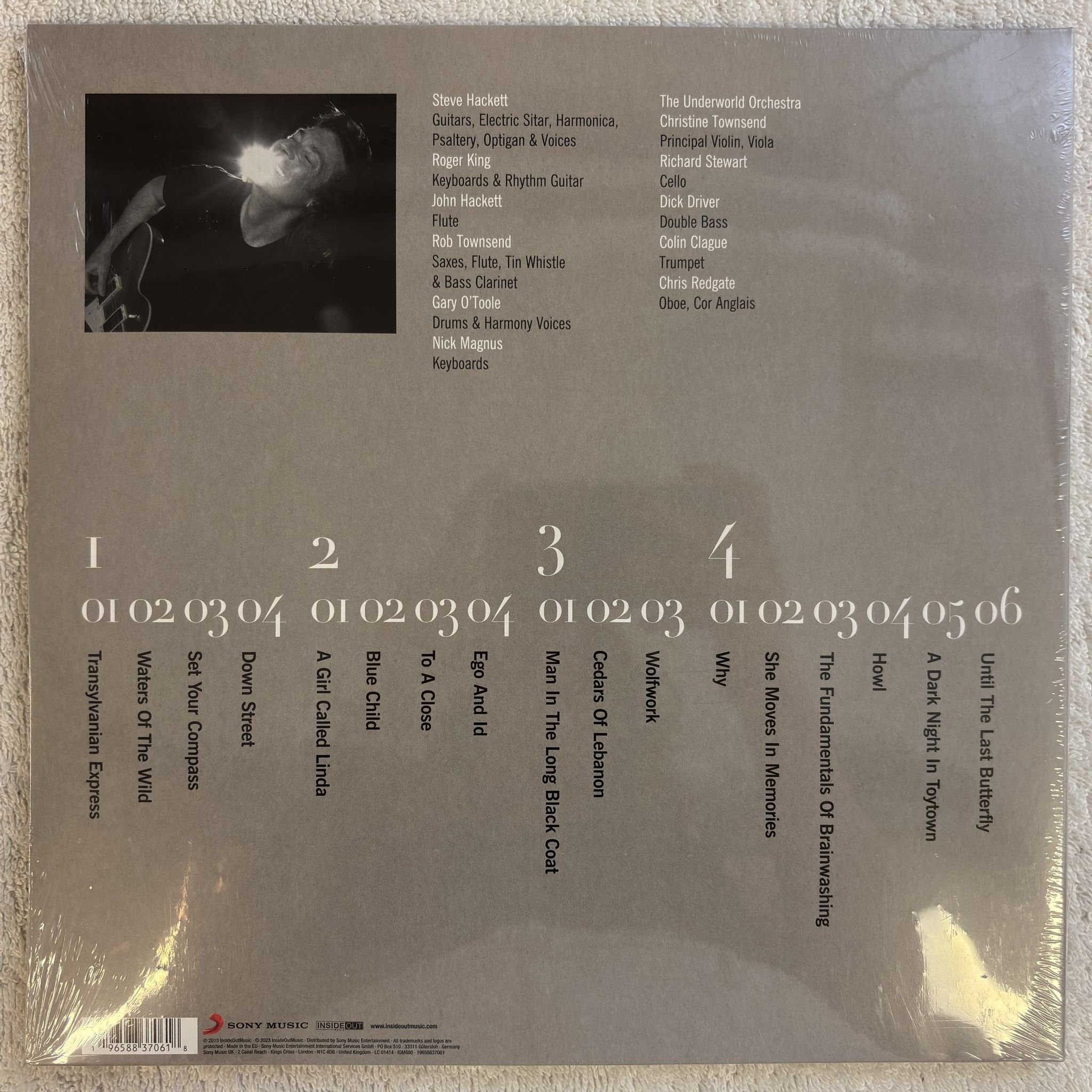 Omslagsbild för skivan STEVE HACKETT wild orchids 2XLP - 2023 IOM680