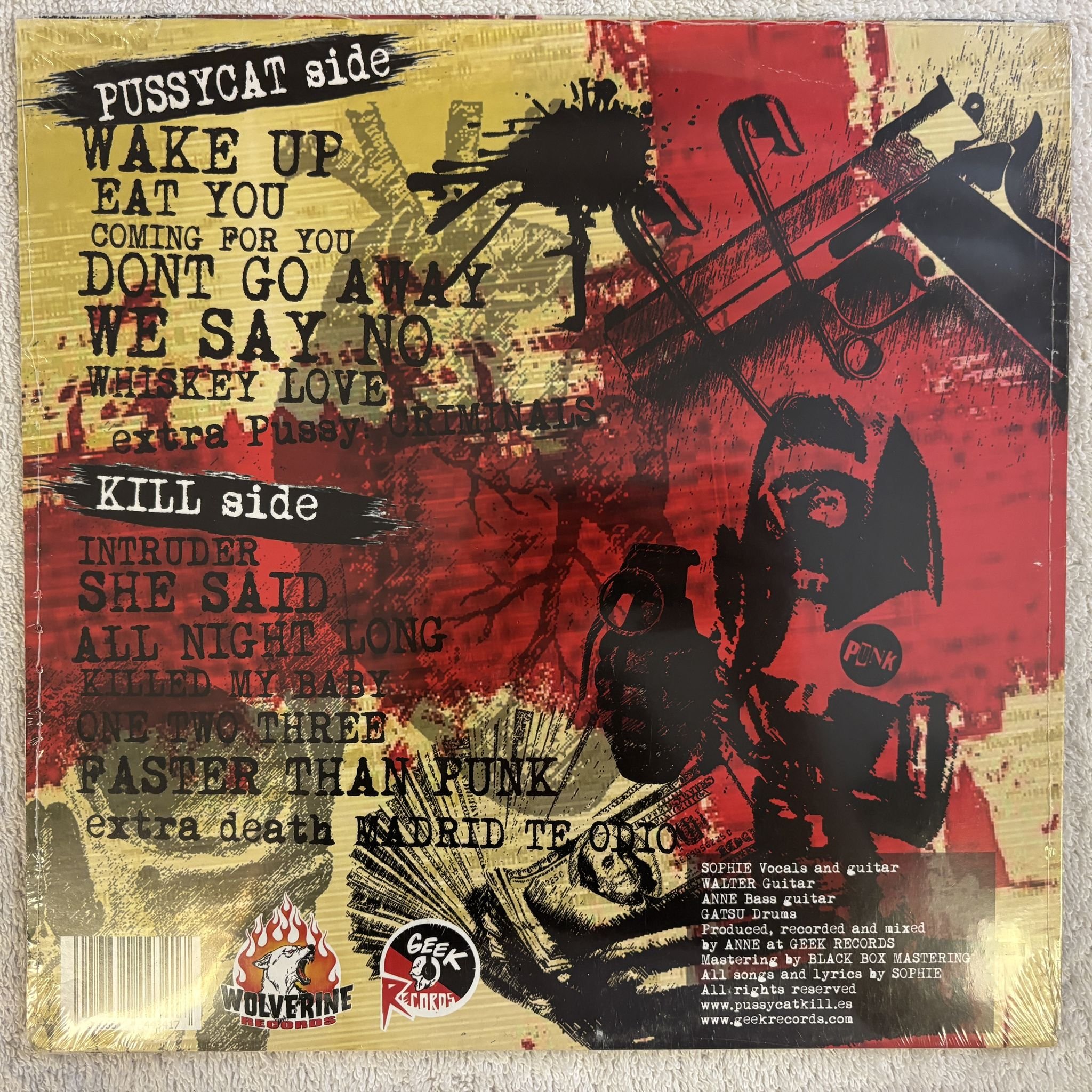 Omslagsbild för skivan PUSSYCAT KILL faster than punk LP - 2016