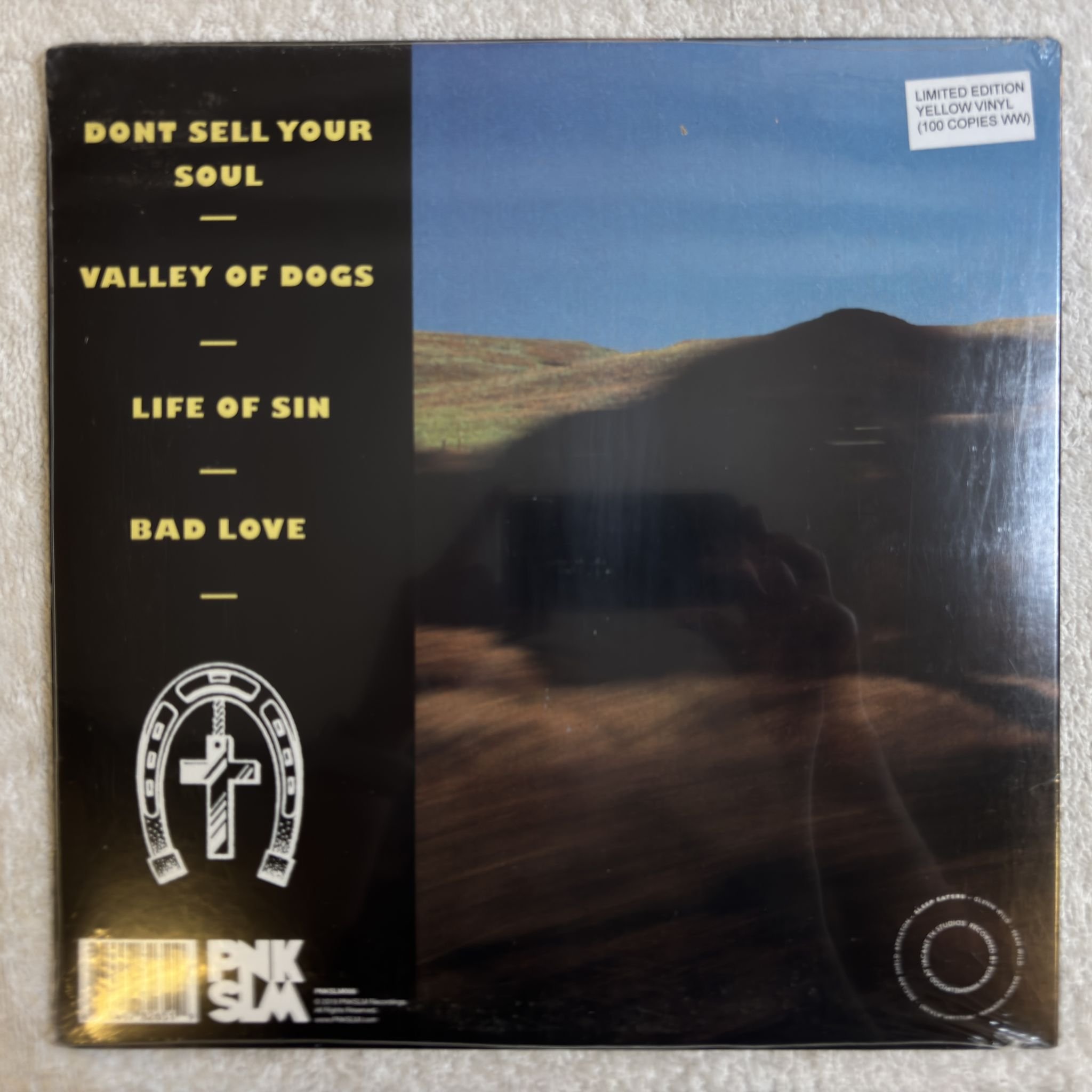 Omslagsbild för skivan SLEEP EATERS Holy Days LP- 2019 PNKSLM PNKSLM066