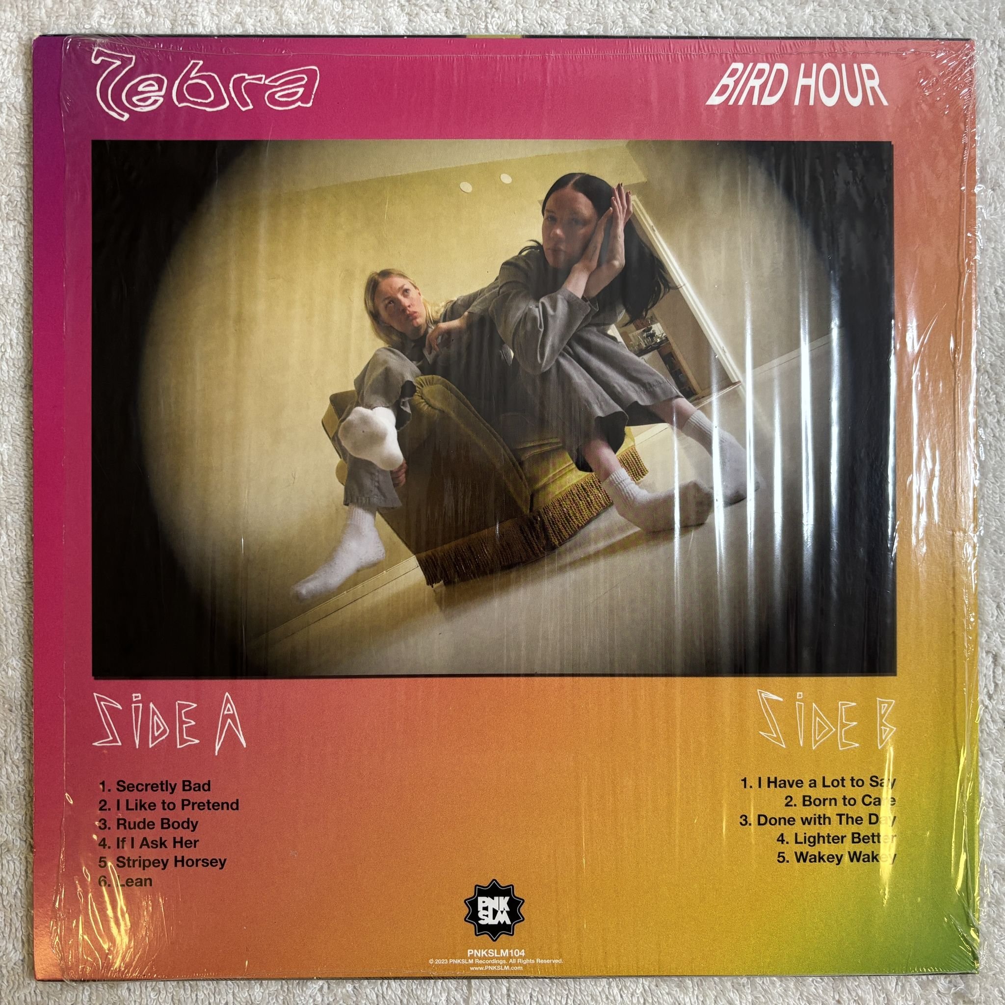 Omslagsbild för skivan 7EBRA Bird Hour LP- 2023 PNKSLM PNKSLM104