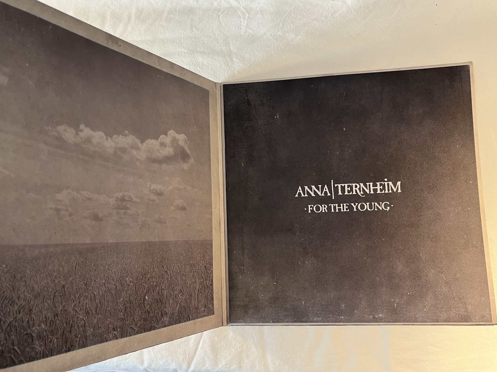 Omslagsbild för skivan ANNA TERNHEIM For The Young 2xLP 2015 UNIVERSAL 060254752634,