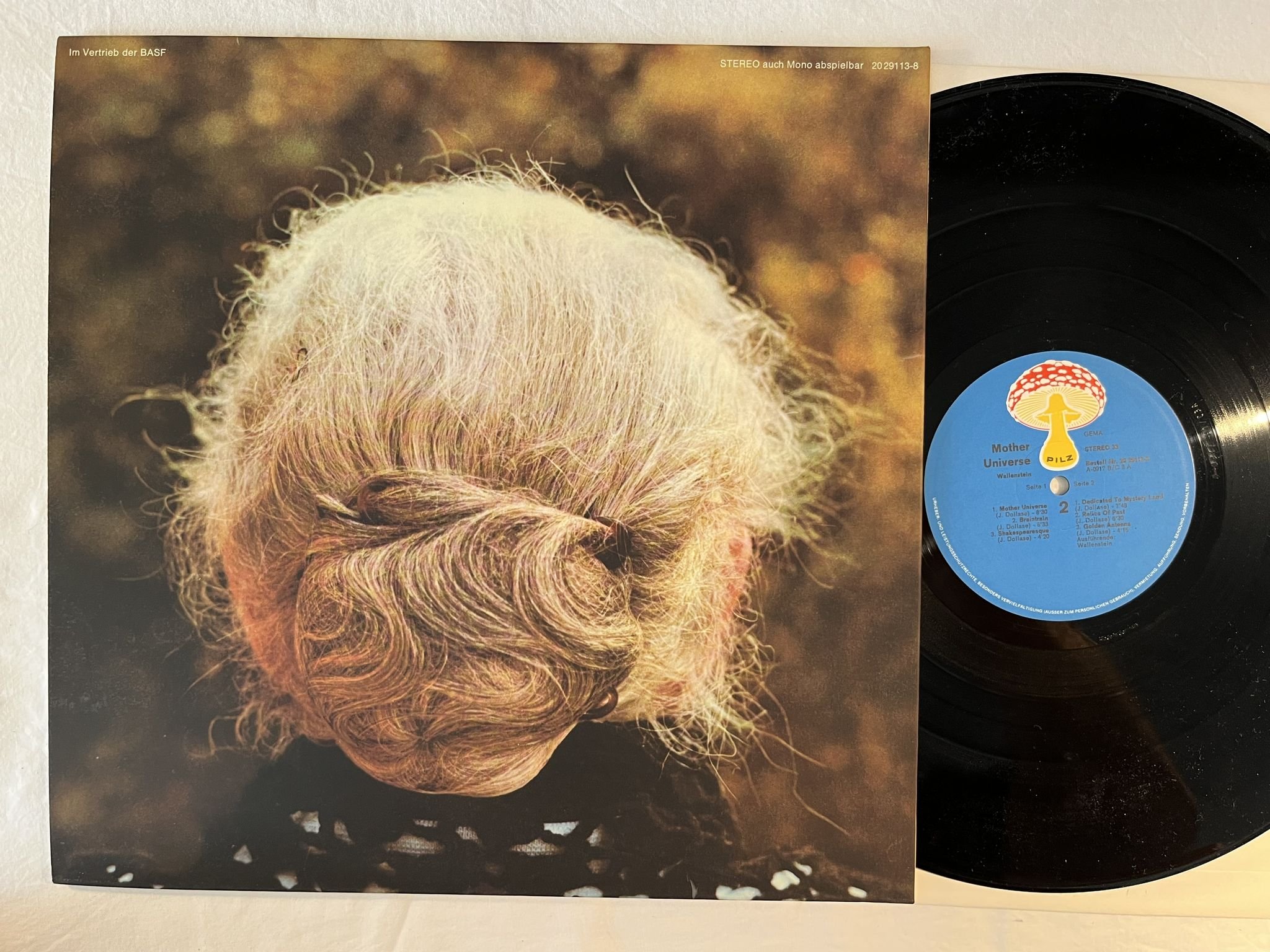 Omslagsbild för skivan WALLENSTEIN Mother Universe LP -72 Ger PILZ 20 29113-8 ** KRAUTROCK **