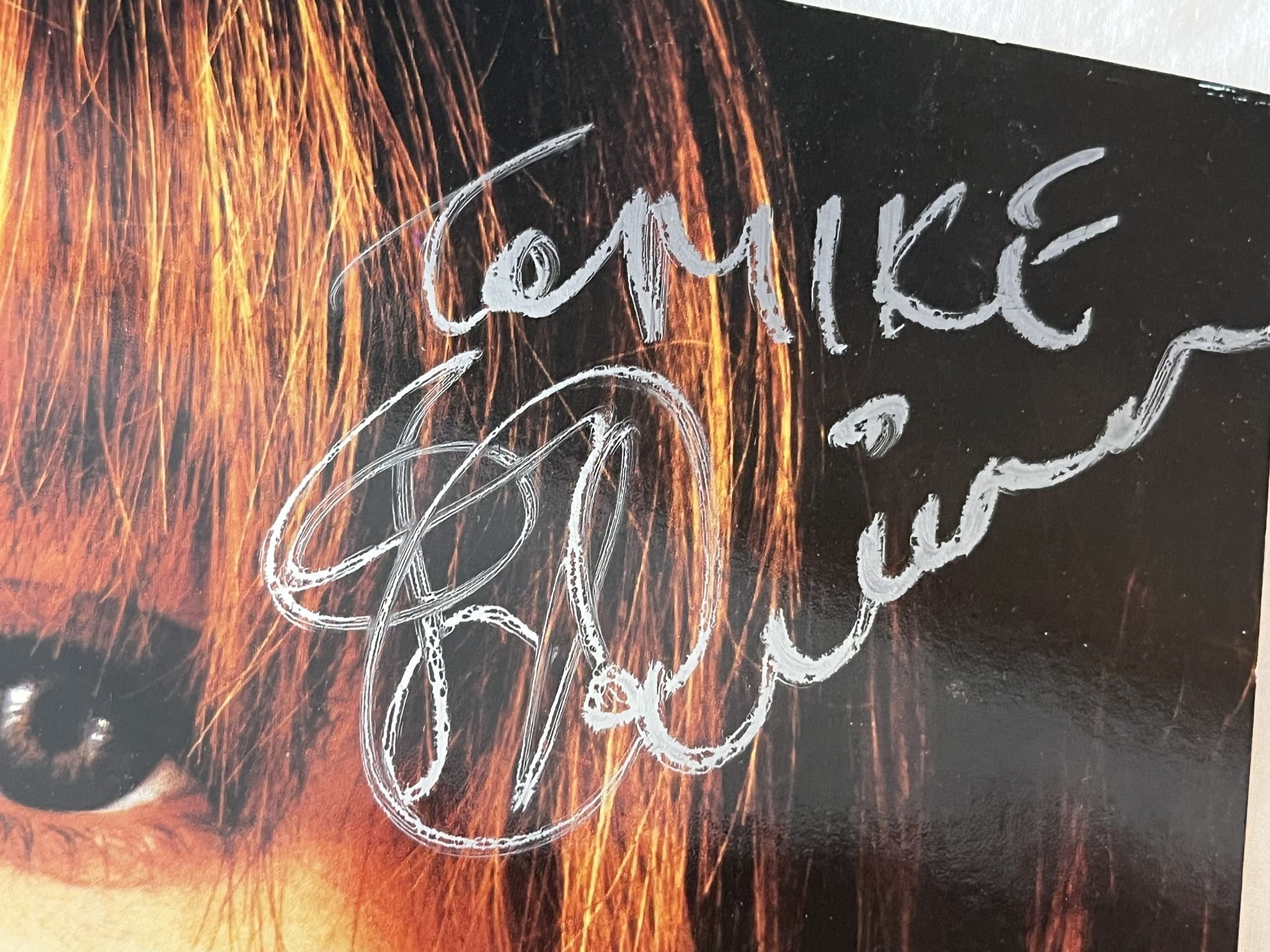 Omslagsbild för skivan SAXON innocence is no excuse LP -85 Ger PARLOPHONE *** Signed cover ***