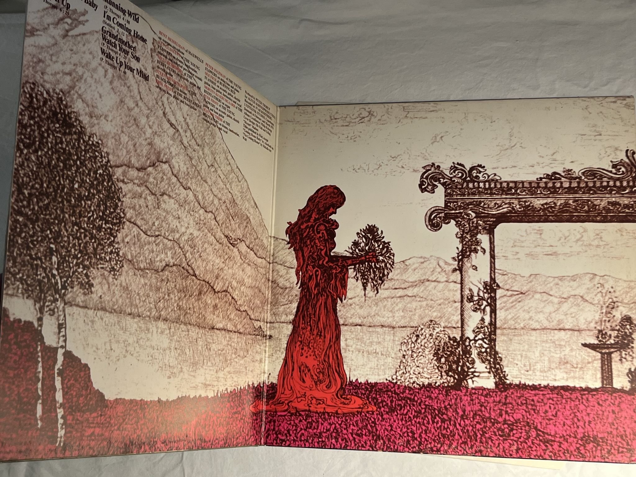 Omslagsbild för skivan PETER THORUP Wake Up Your Mind LP -70 Ger PHILIPS 6305 077 *** PROG ROCK ***