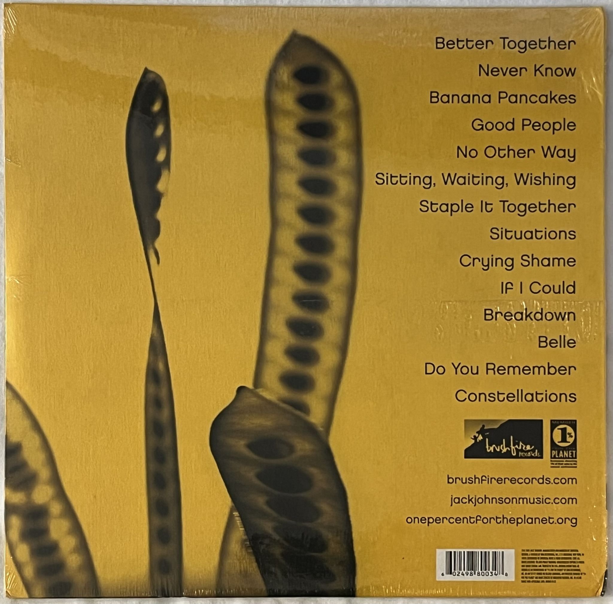 Omslagsbild för skivan JACK JOHNSON In Between Dreams LP BRUSHFIRE B0004149-01