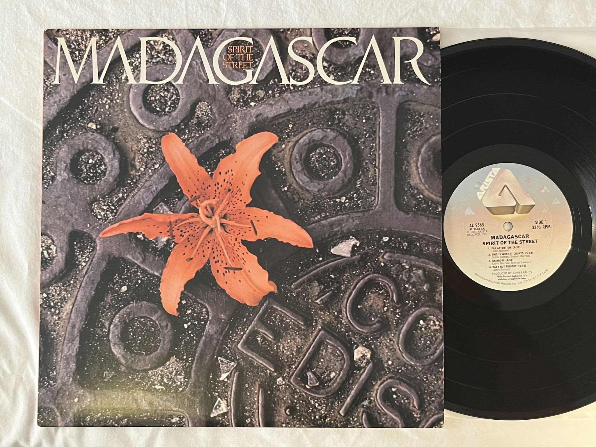 Omslagsbild för skivan MADAGASCAR Spirit Of The Street LP -81 US ARISTA AL 9565