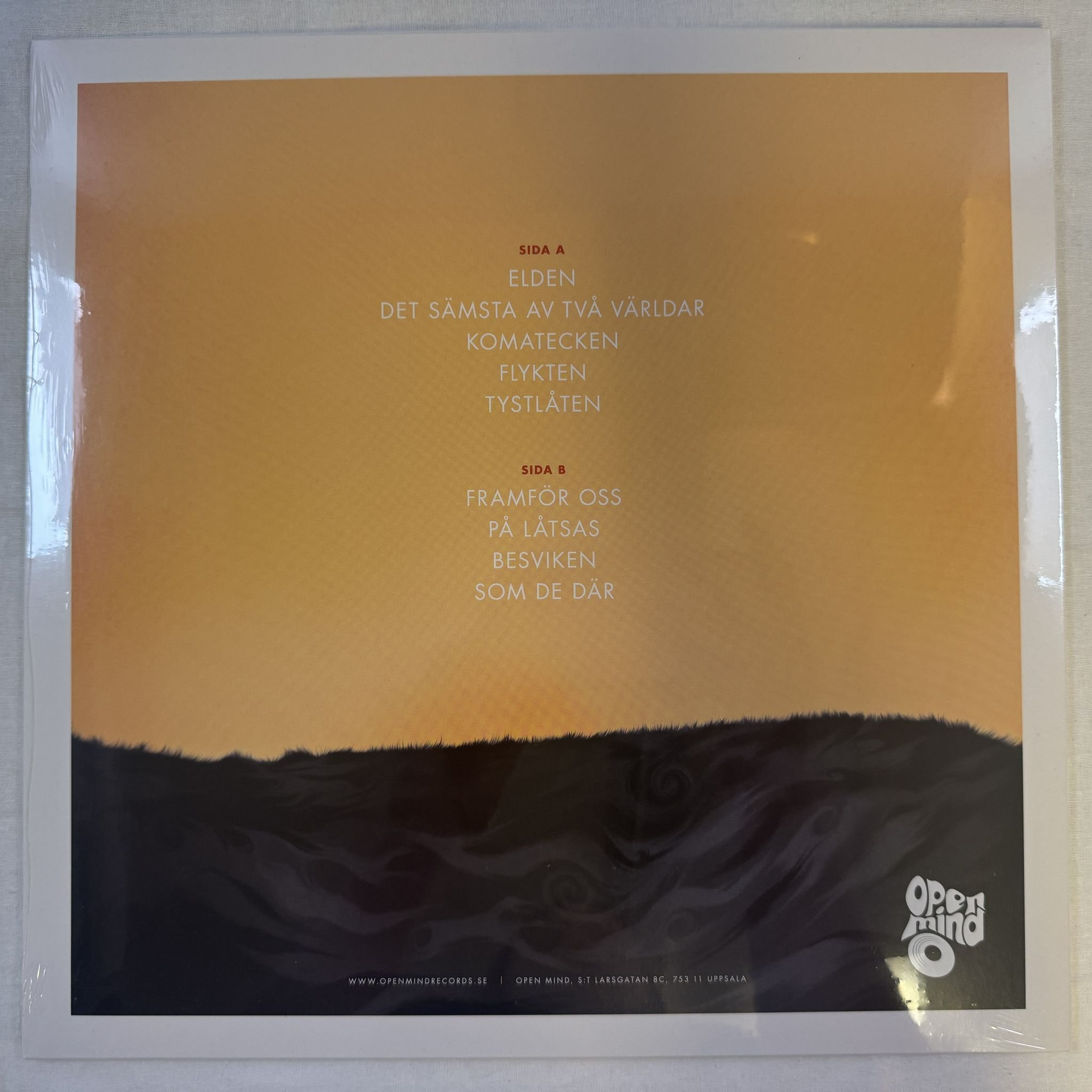 Omslagsbild för skivan DÖDA HAVET döda havet LP -2016 Open Mind Records OM 007