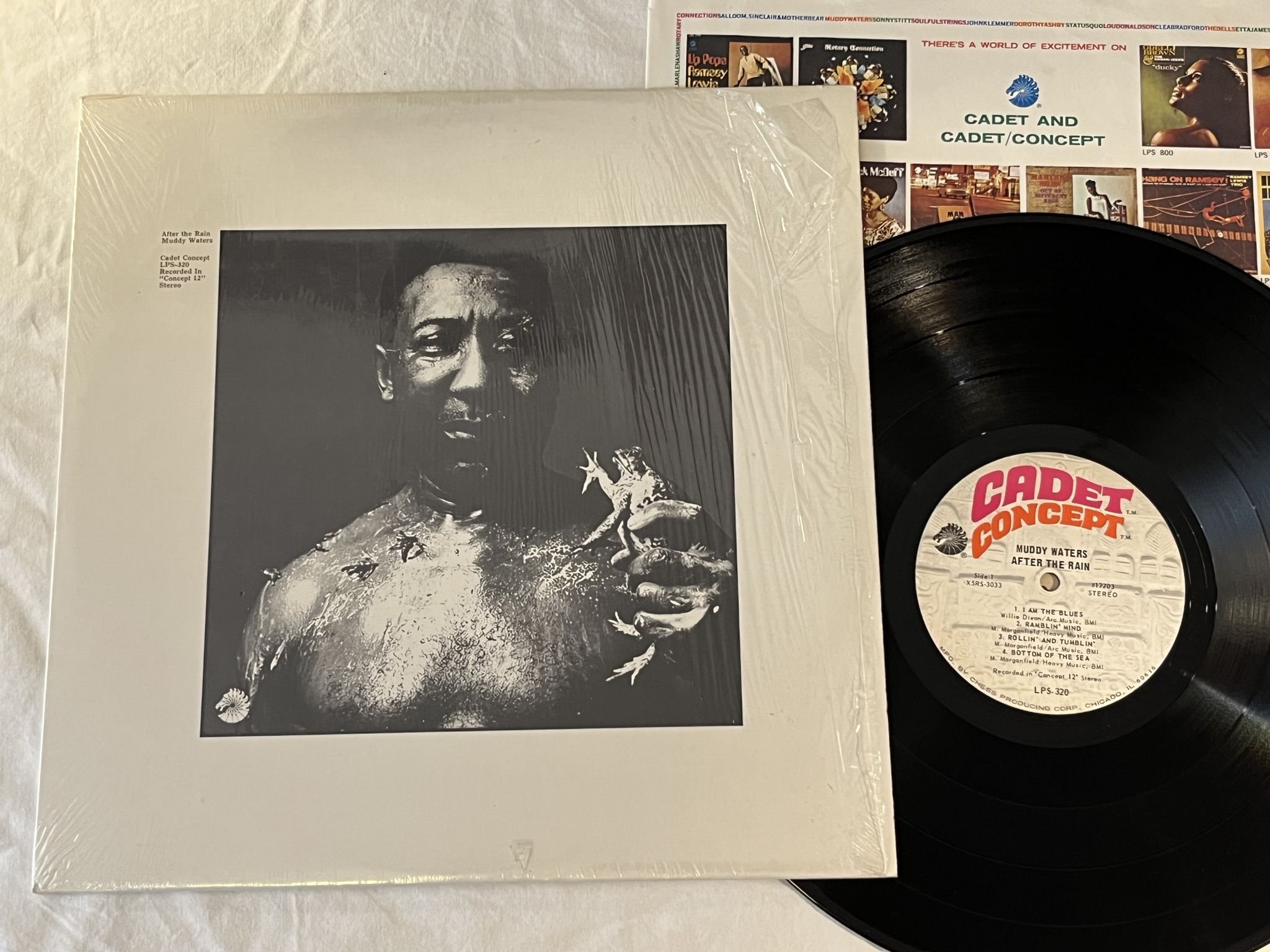 Omslagsbild för skivan MUDDY WATERS after the rain LP -69 US CADET CONCEPT LPS-320