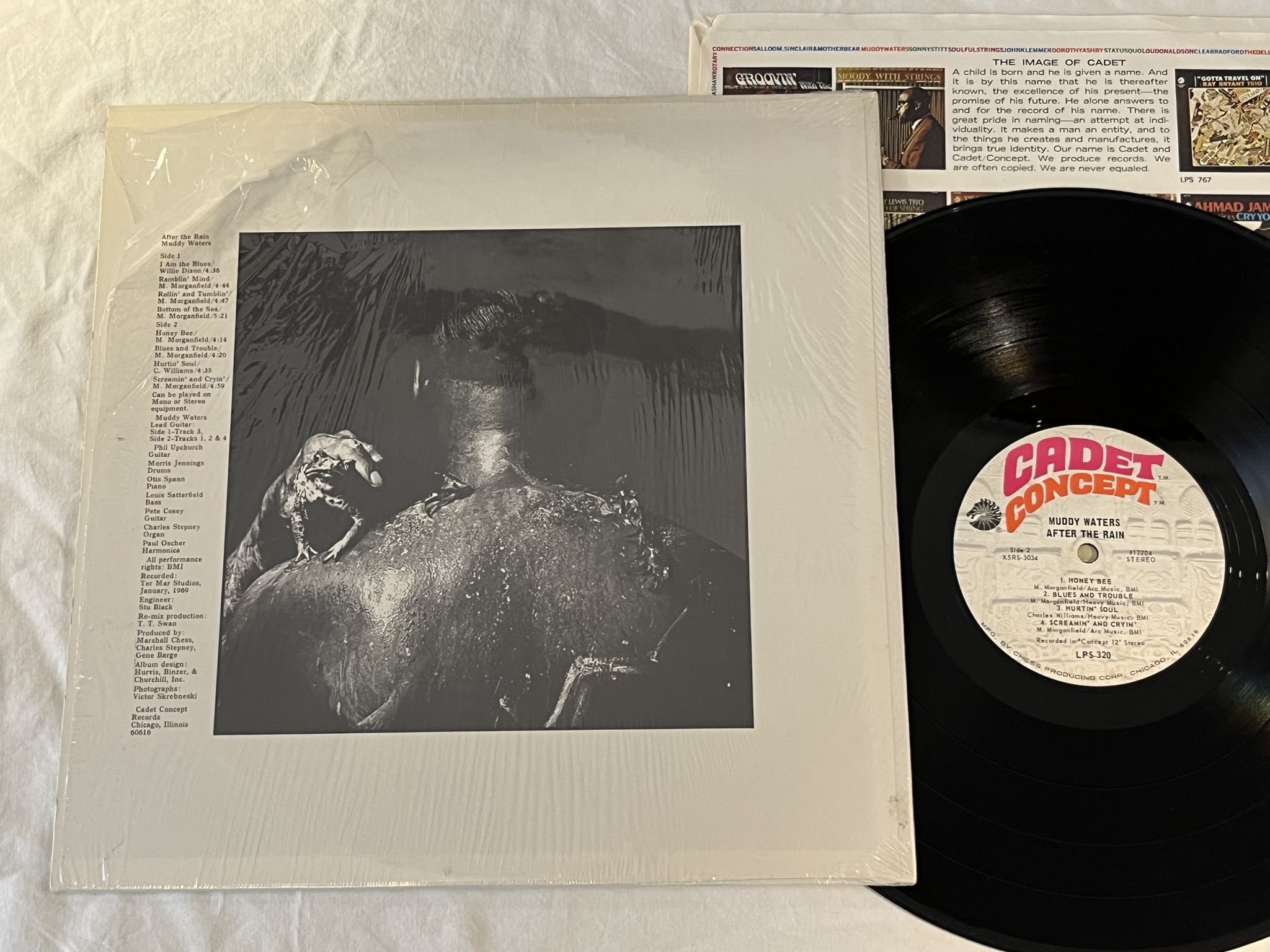 Omslagsbild för skivan MUDDY WATERS after the rain LP -69 US CADET CONCEPT LPS-320