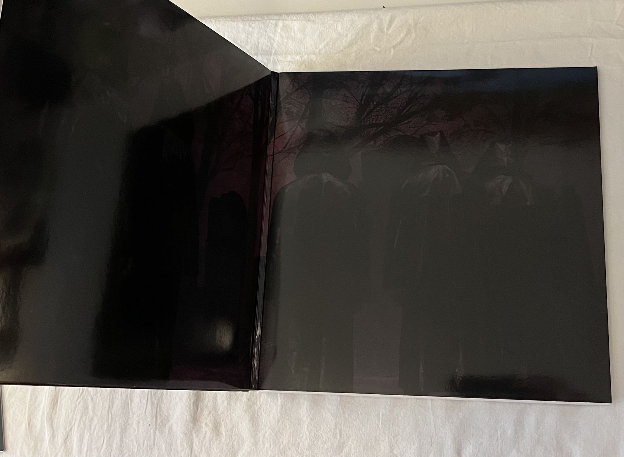 Omslagsbild för skivan THE HIVES The Death Of Randy Fitzsimmons LP 2023 *** comes with signed card ***