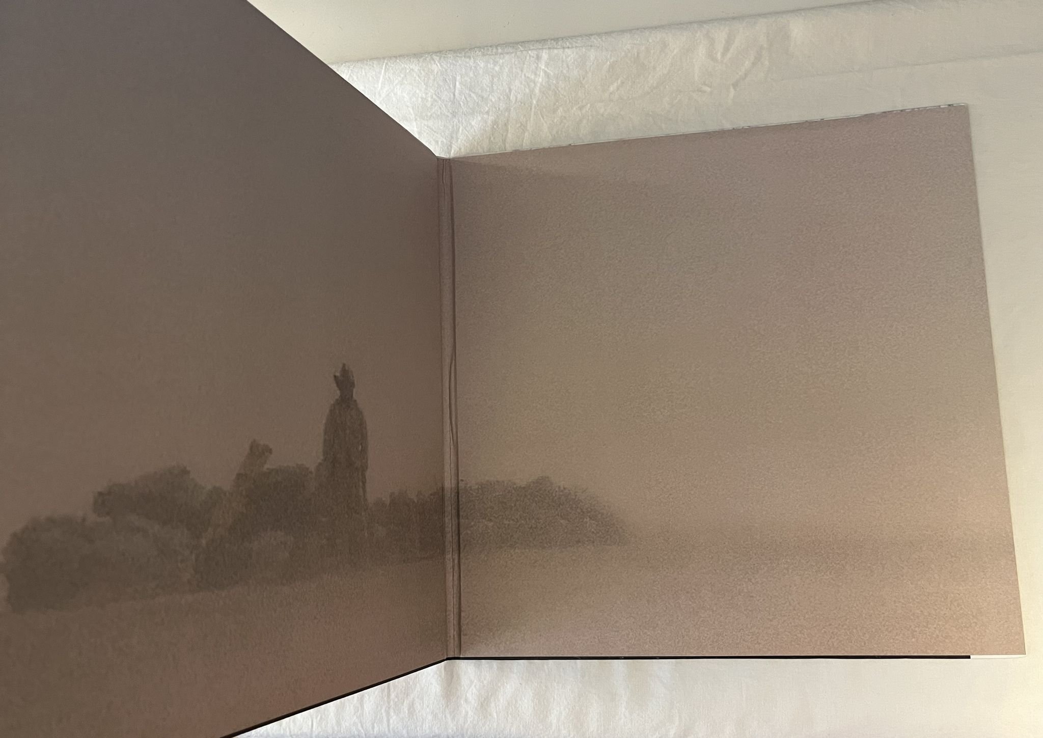 Omslagsbild för skivan NEIL YOUNG Living With War "In The Beginning" LP 2007 US CLASSIC CLS43265LP